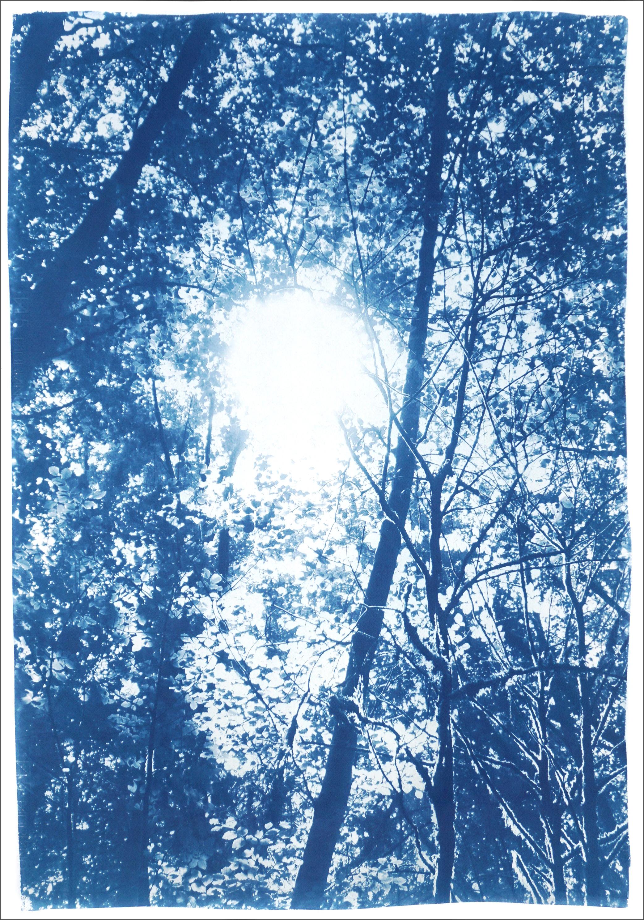 Forest Triptych, Looking Up Through The Trees, Blue Nature, Handmade Cyanotype For Sale 11