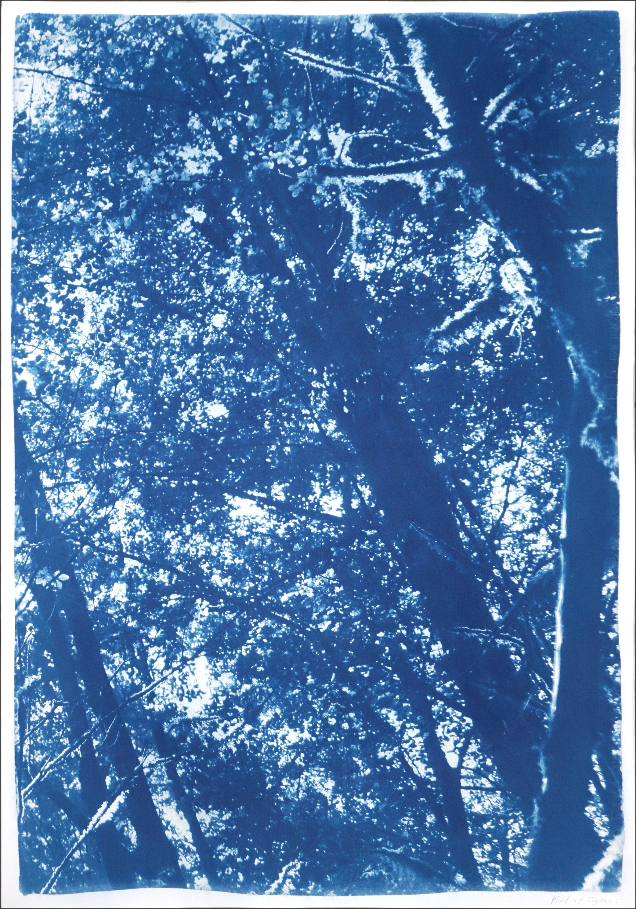 Forest Triptych, Looking Up Through The Trees, Blue Nature, Handmade Cyanotype For Sale 12