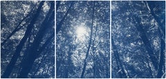Forest Triptych, Looking Up Through The Trees, Blue Nature, Handmade Cyanotype