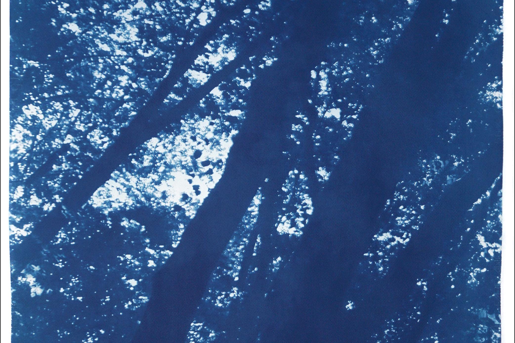 Forest Triptych, Looking Up Through The Trees, Blue Nature, Handmade Cyanotype For Sale 13