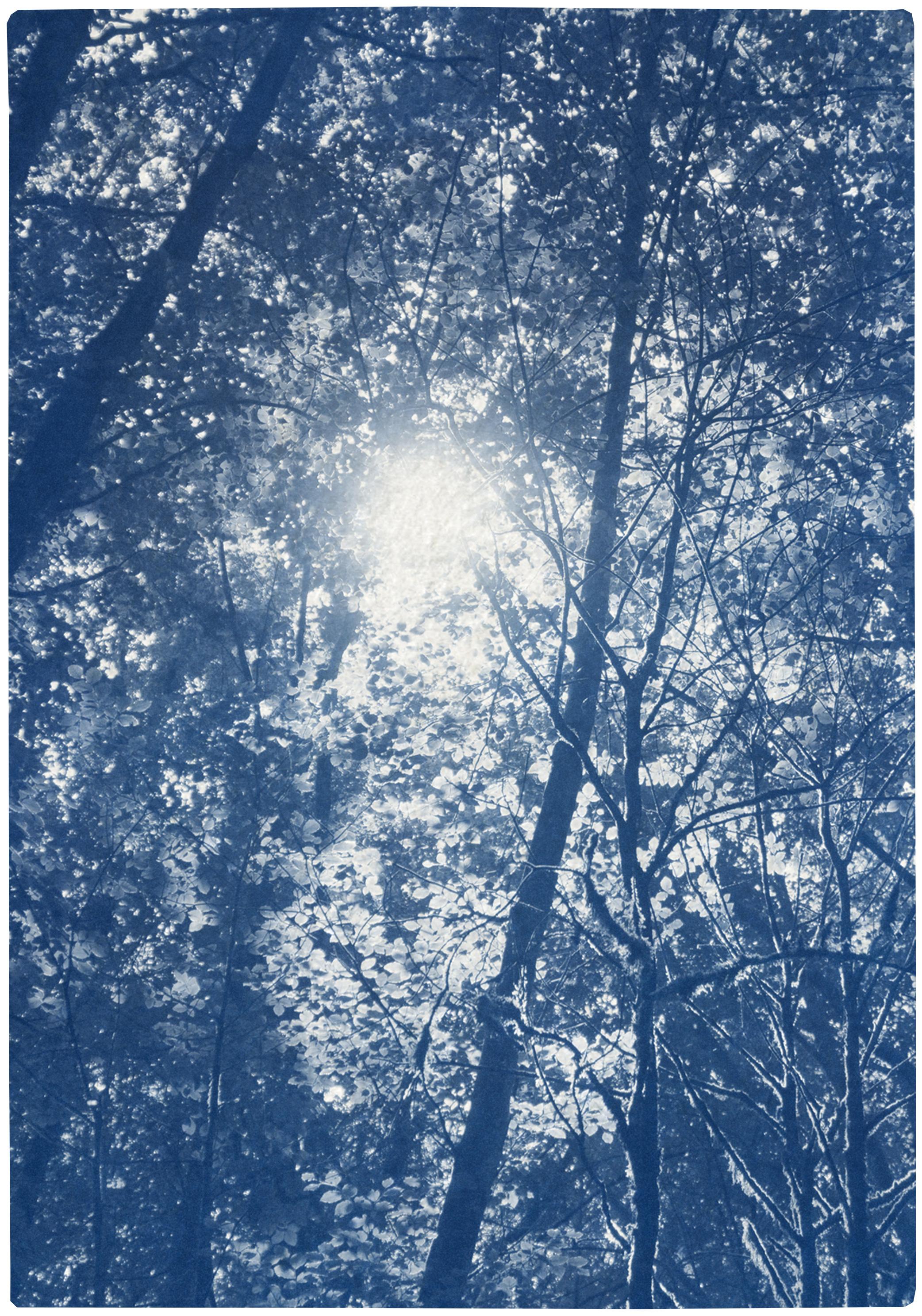 Forest Triptych, Looking Up Through The Trees, Blue Nature, Handmade Cyanotype - Realist Print by Kind of Cyan