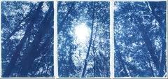 Forest Triptych, Looking Up Through The Trees, Blue Nature, Handmade Cyanotype