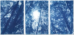 Triptyque de la forêt, Up&Up à travers les arbres, bleu de la nature, cyanotype fait à la main