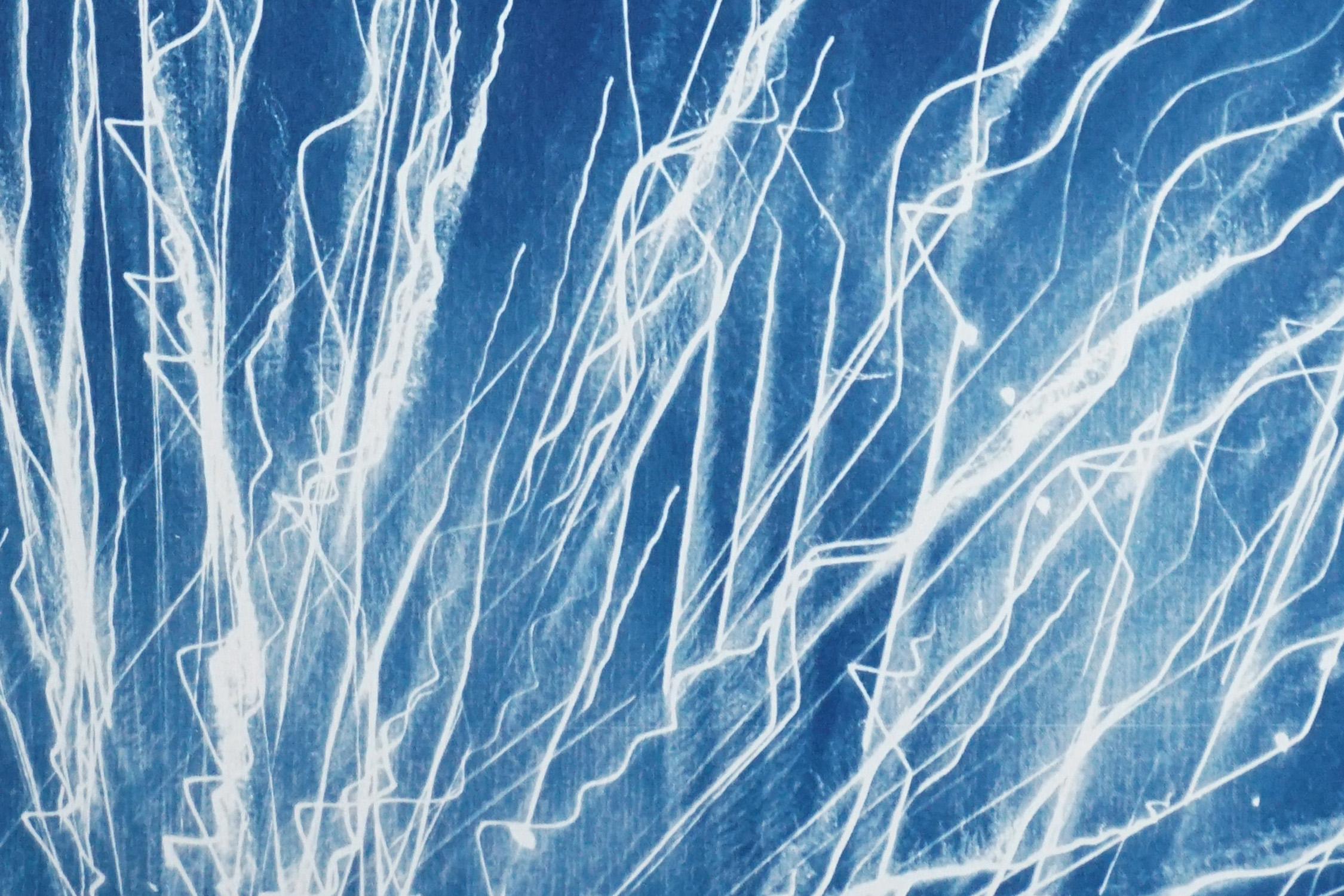 This is an exclusive handprinted limited edition cyanotype.
