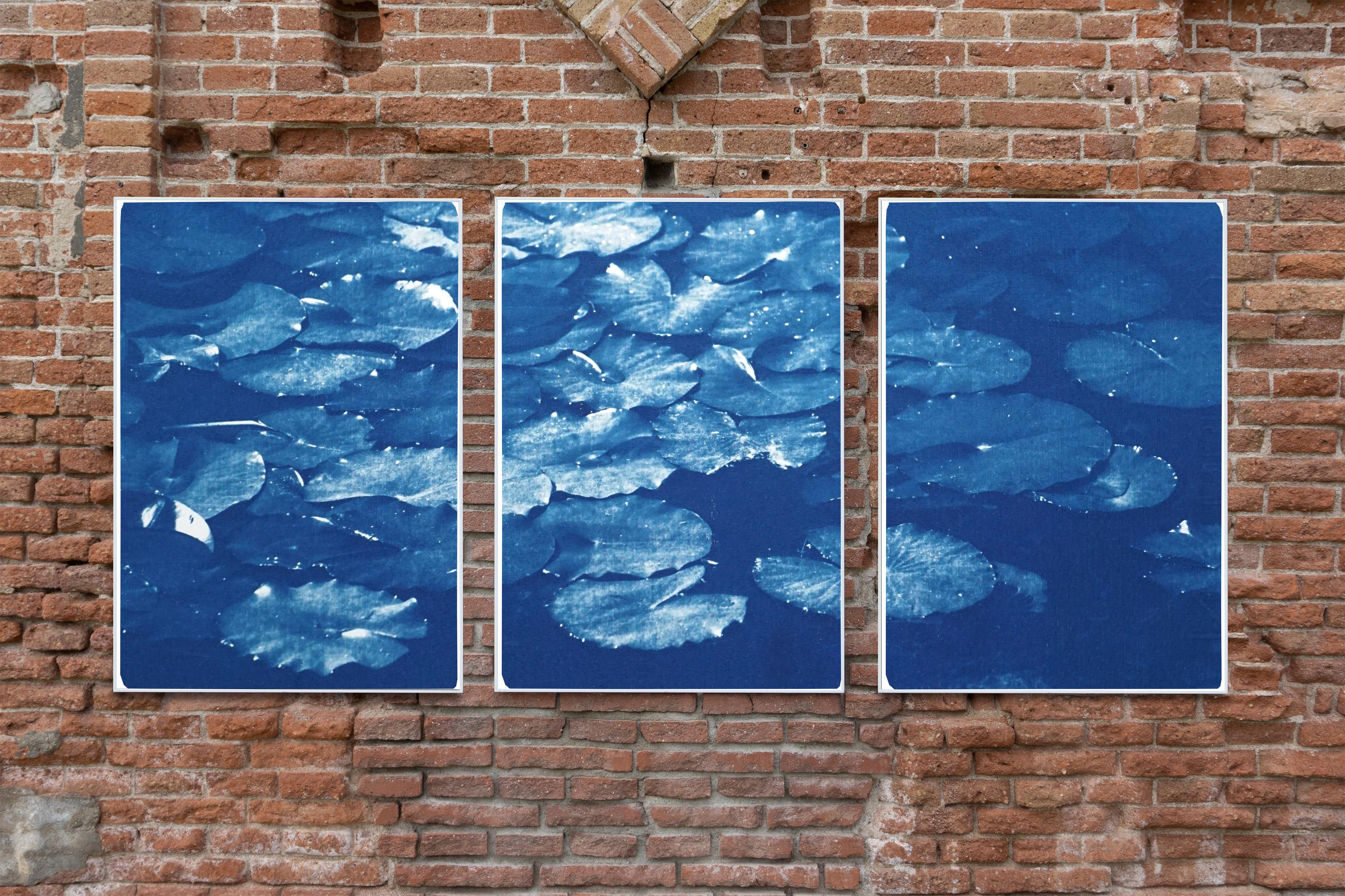 Lilypad Pond Triptych, Large Cyanotype on Watercolor Paper, Zen Blue Landscape 1