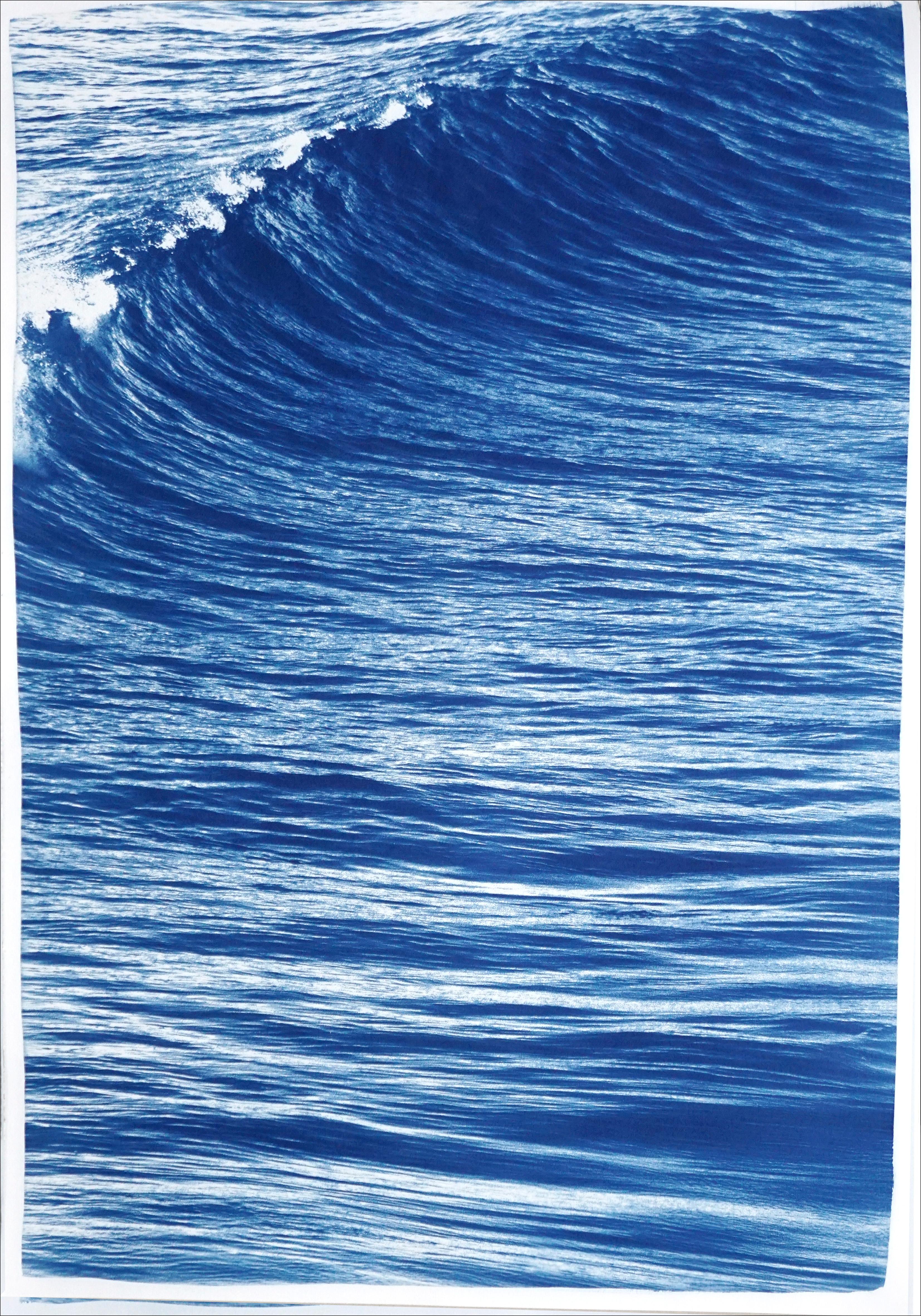This series of cyanotype triptychs showcases the beauty of nature scenes, including stunning beaches and oceans, as well as the intricate textures of water, forests, and skies. These triptychs are large pieces that feature lush blues, making them an