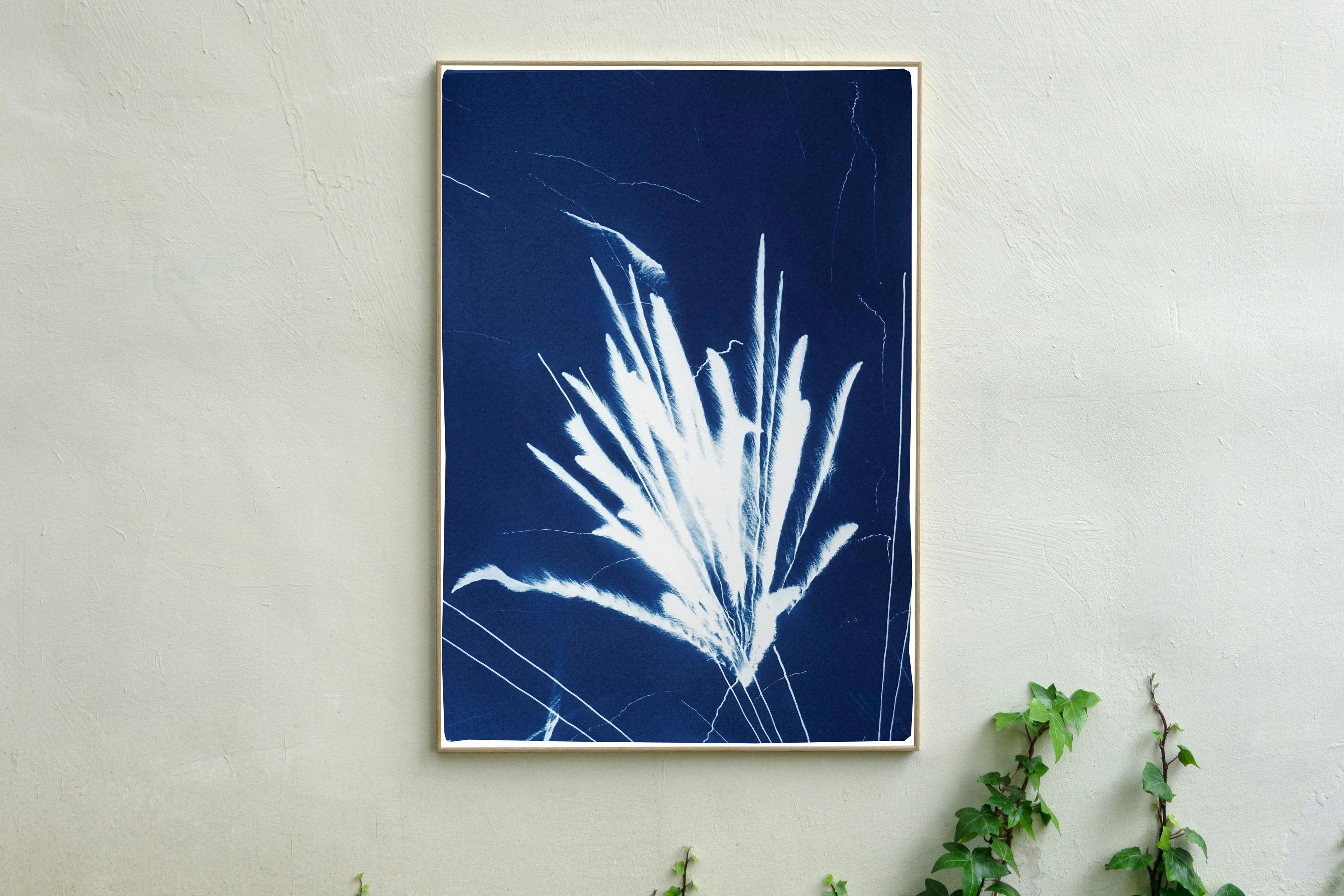 Minimal Silhouette of Sparkling Firework Burst, Nighttime Limited Edition Print 2