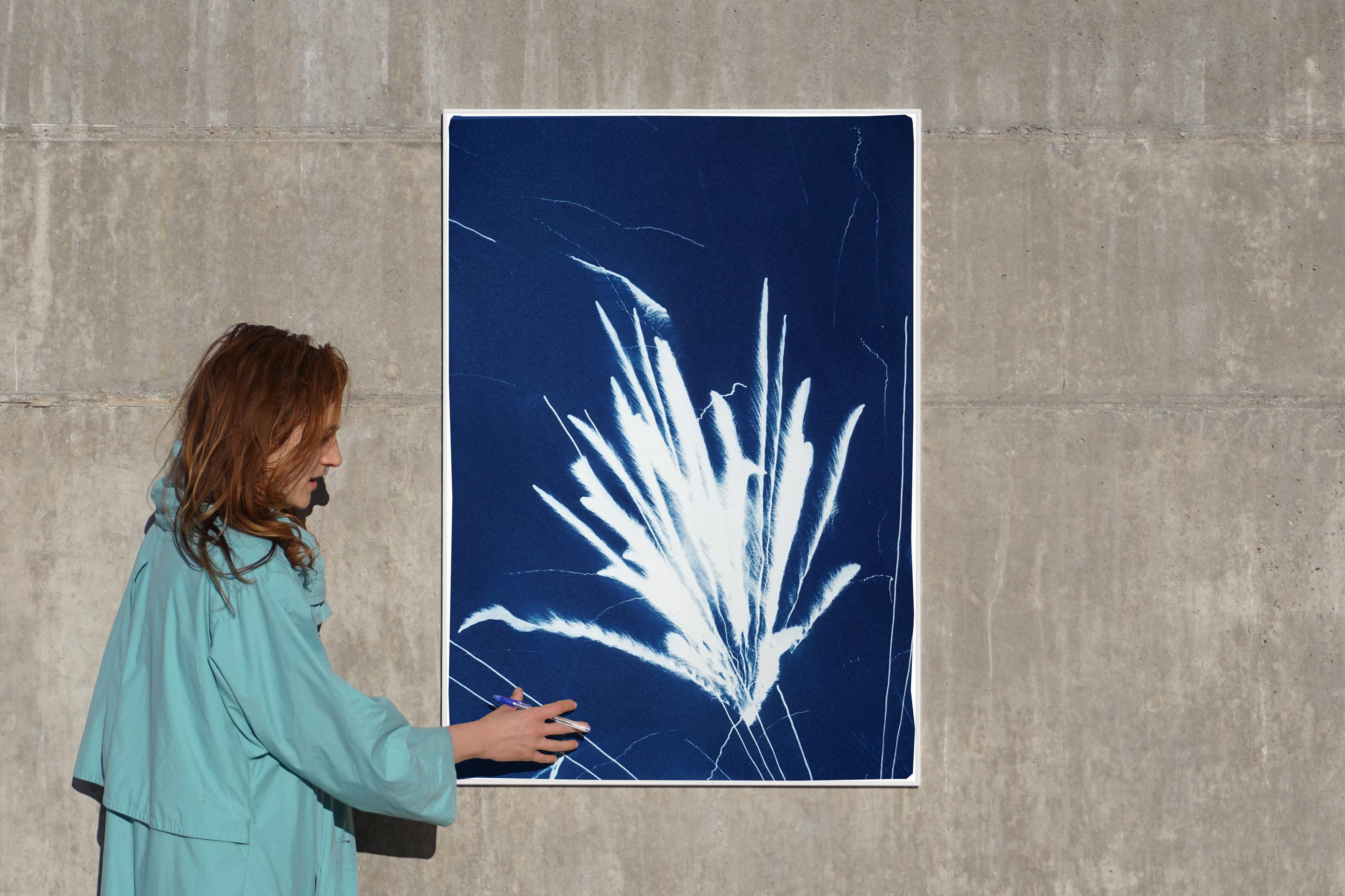 Minimal Silhouette of Sparkling Firework Burst, Nighttime Limited Edition Print 3