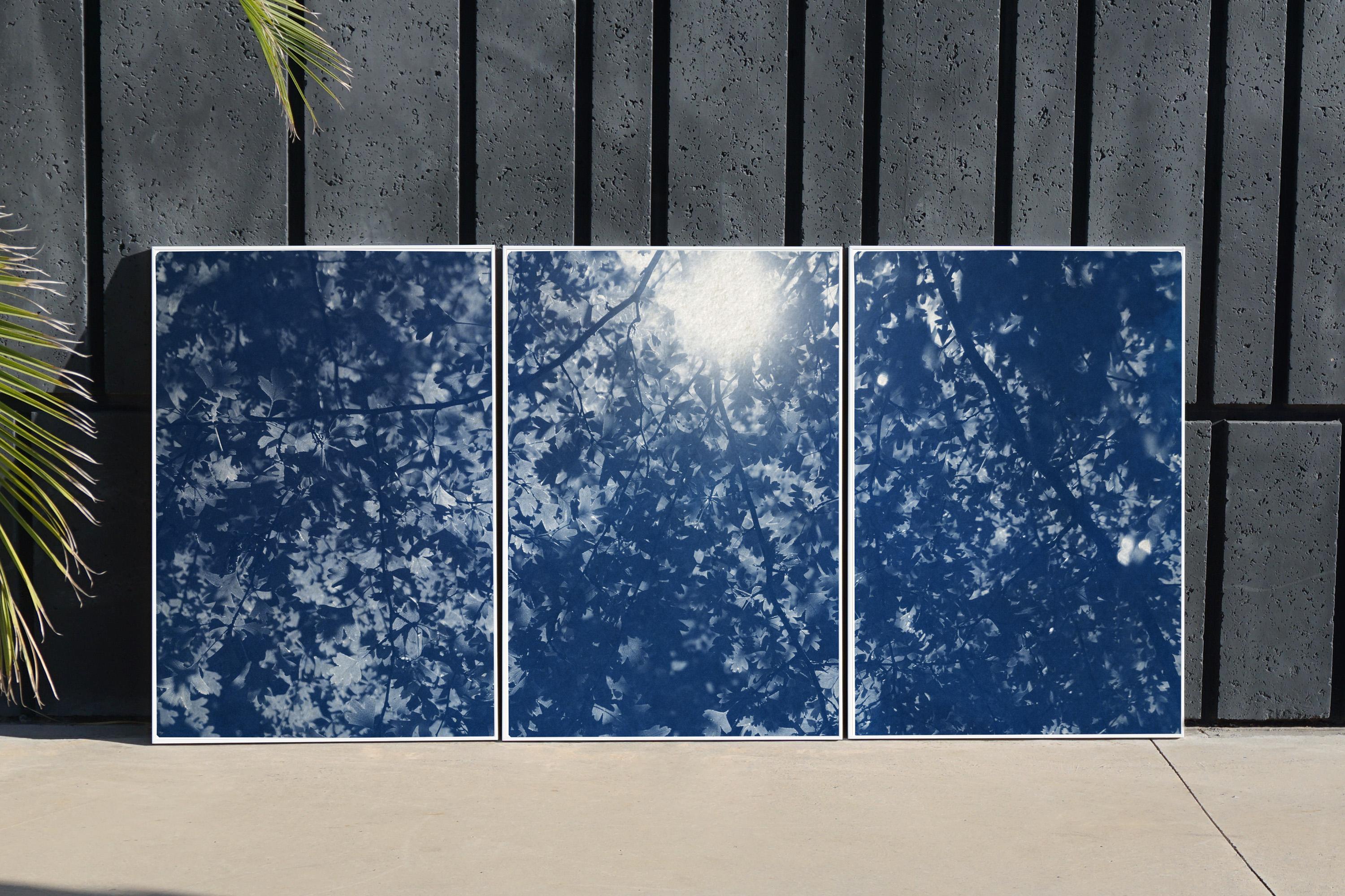 Sunlight Through Forest Branches, Blue Tones Triptych, Botanical Cyanotype Print 6