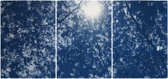 Sunlight Through Forest Branches, Blue Tones Triptych, Botanical Cyanotype Print