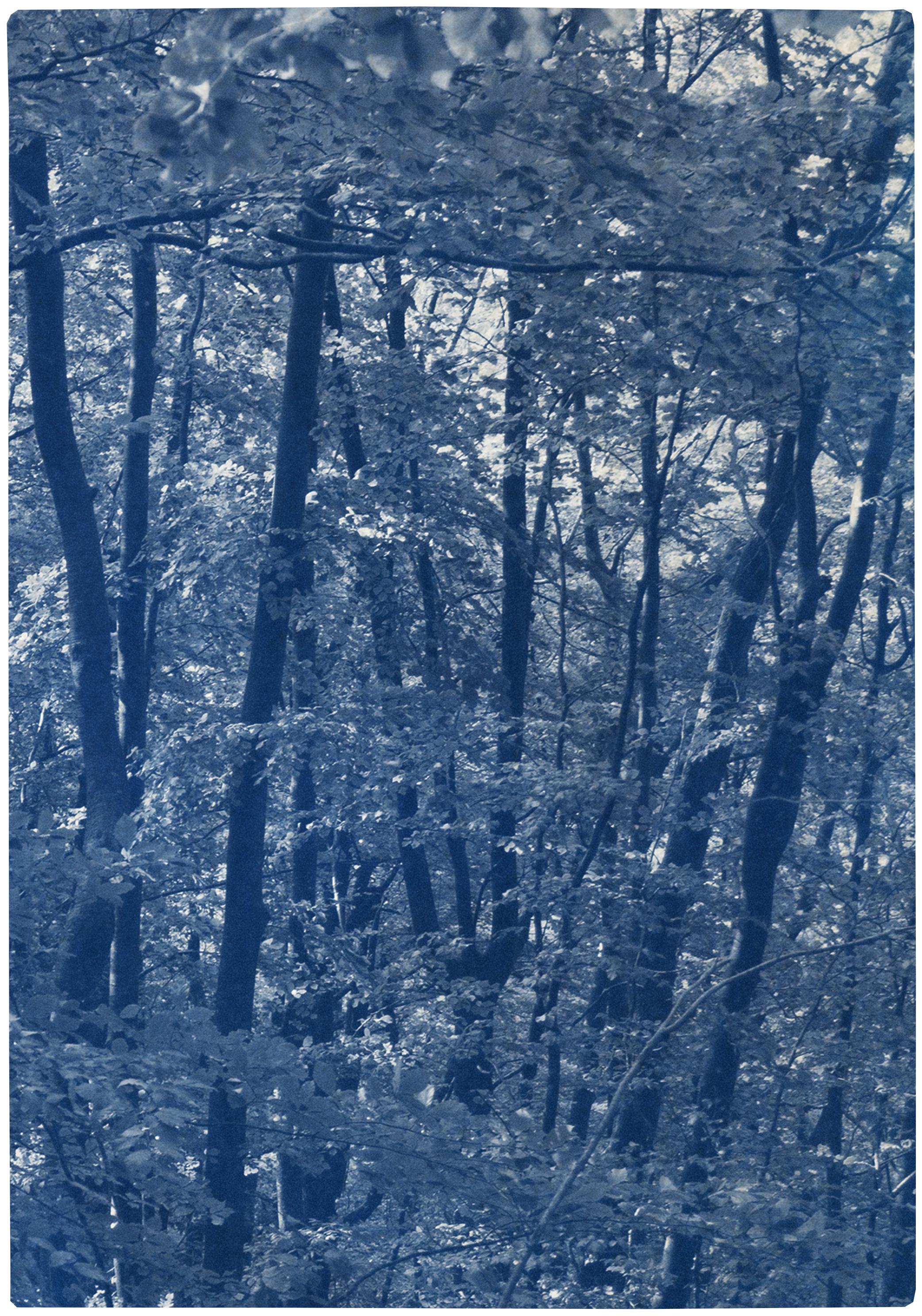 Walking in the Woods, Forest Landscape Cyanotype Print, Limited Edition, Blue - Realist Painting by Kind of Cyan