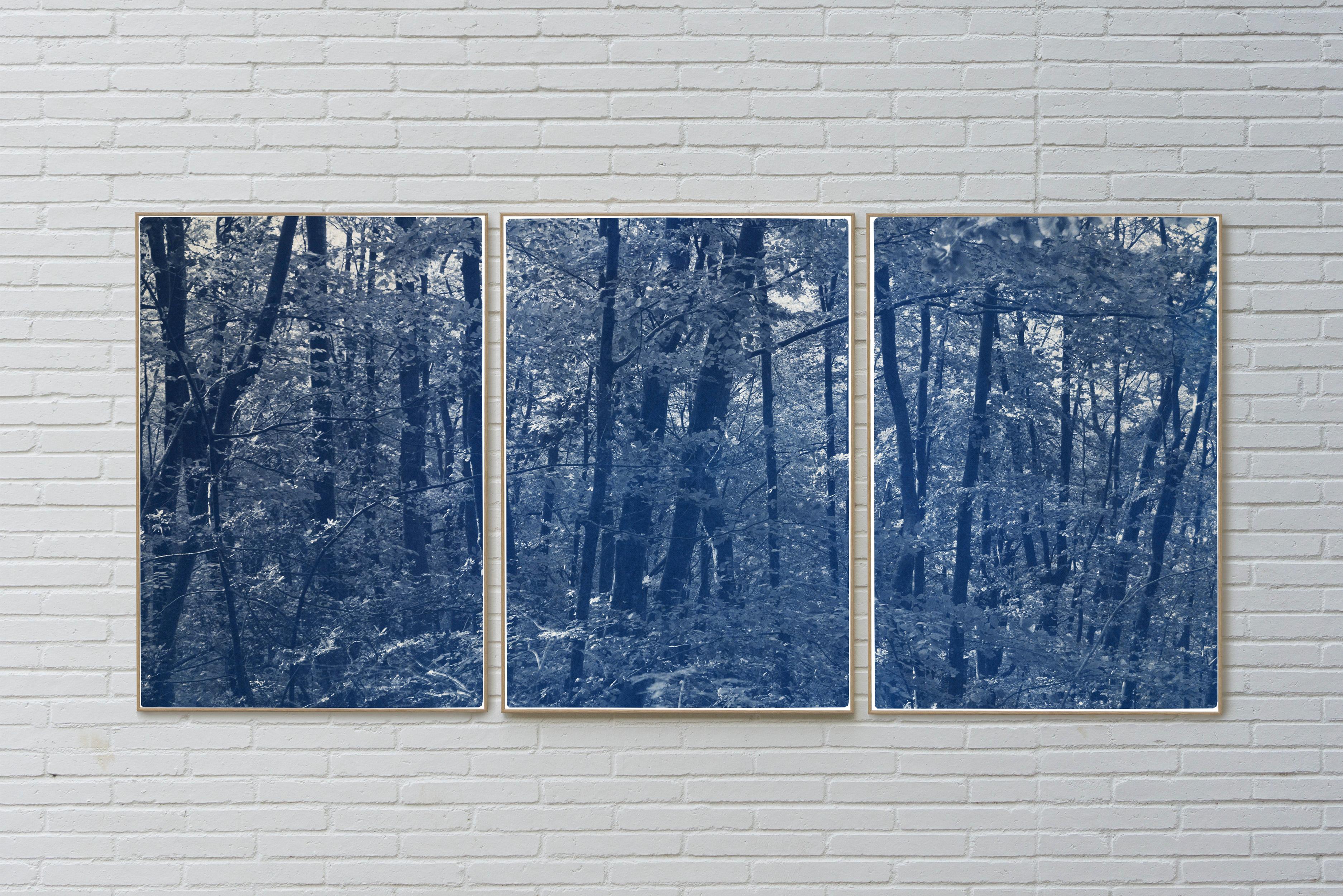 This is an exclusive handprinted limited edition cyanotype of a beautiful forest journey. 

Details:
+ Title: Walking in the Woods
+ Year: 2021
+ Edition Size: 100
+ Stamped and Certificate of Authenticity provided
+ Measurements : 100x210 cm (40 x