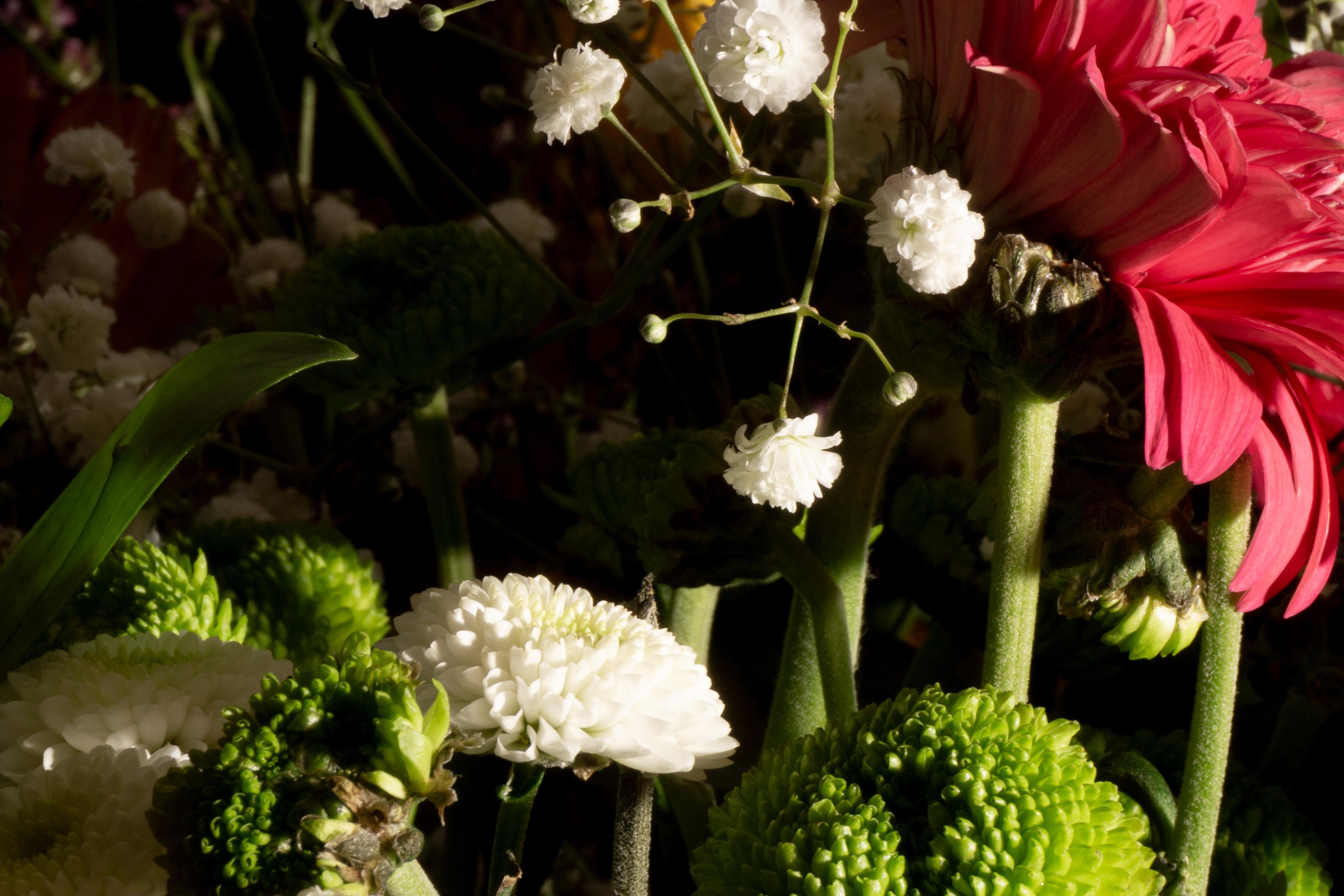 Mélange de bouquets de fleurs colorés, fleurs sauvages en gros plan, imprimé giclée, édition limitée en vente 1