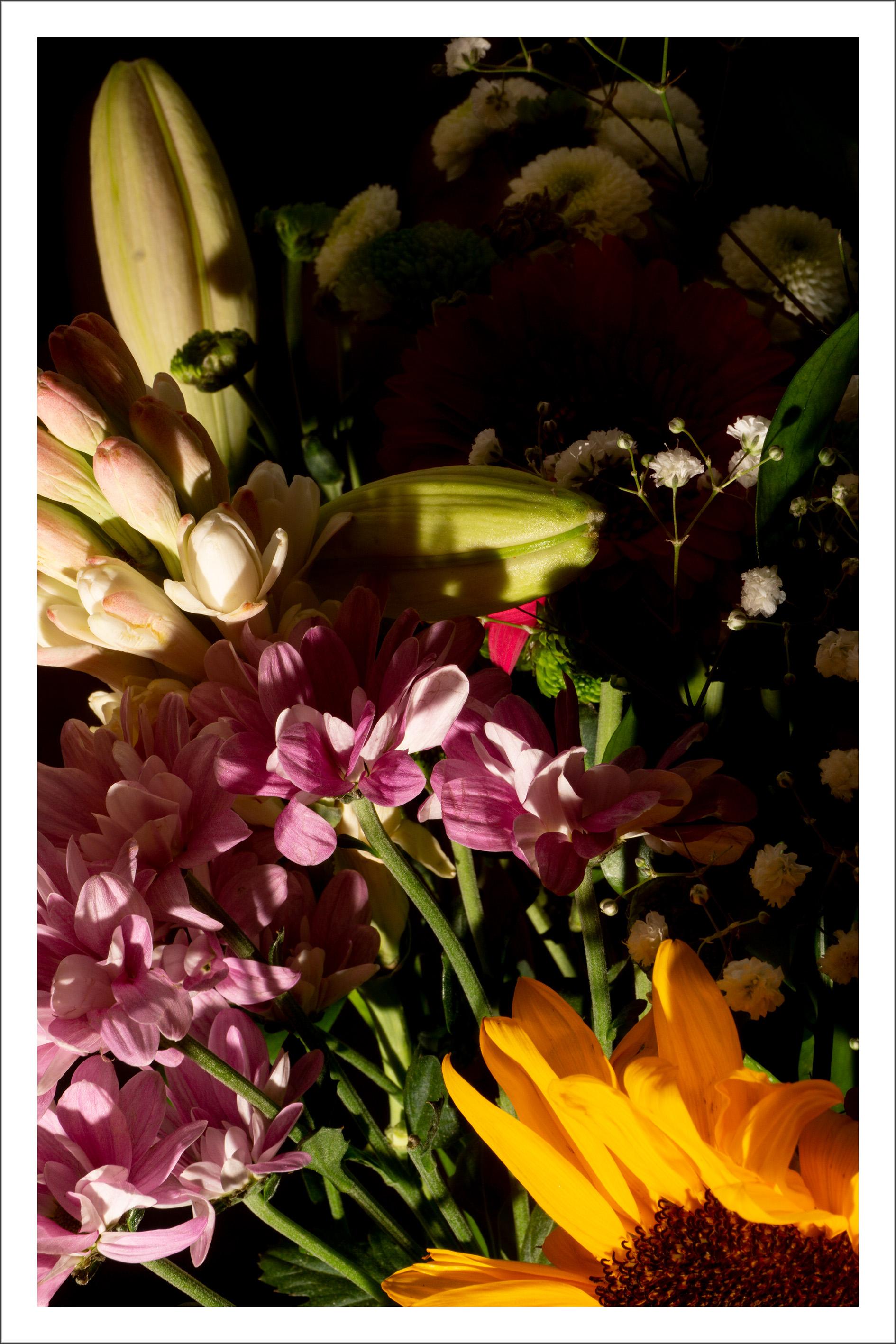 Bunte Blumenstrauß-Misch, Sommerlicht-Stillleben mit Gicle-Druck in weichen Tönen