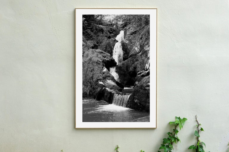 Extra Large Black and White Giclée Print of Zen Forest Waterfall, Landscape  For Sale 2