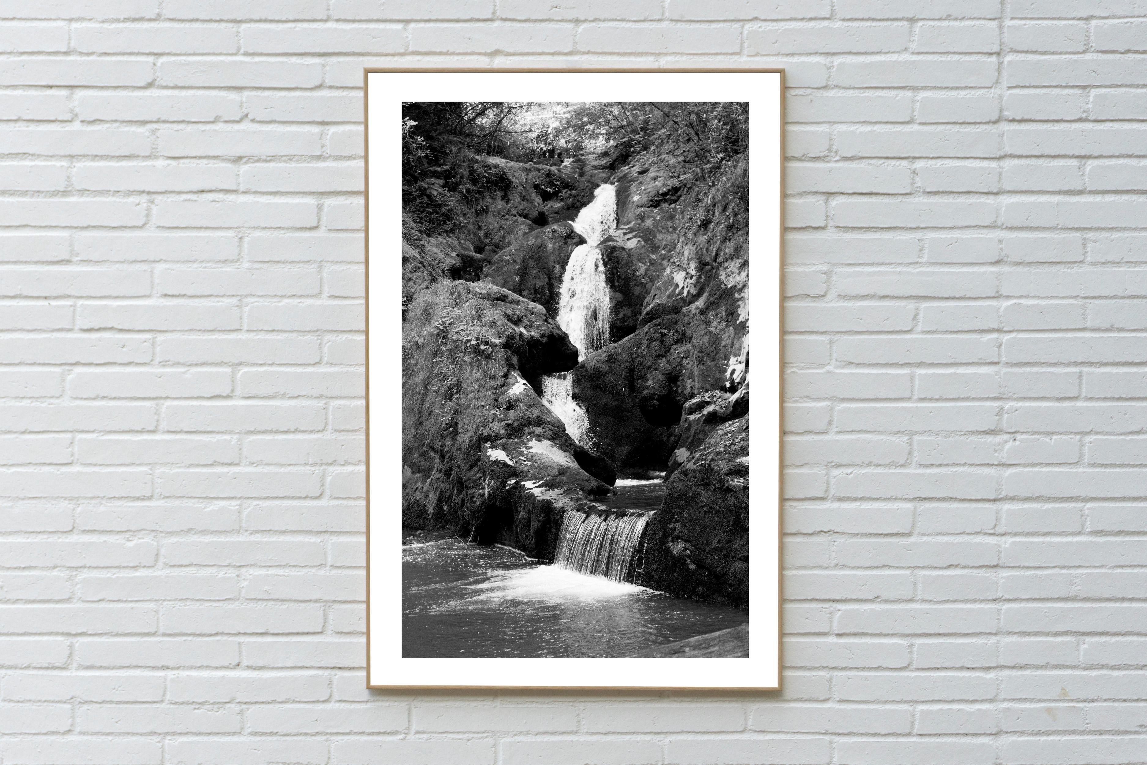 Giclée vertical en blanco y negro de Cascada del Bosque Zen, Paisaje, Feng Shui en venta 3