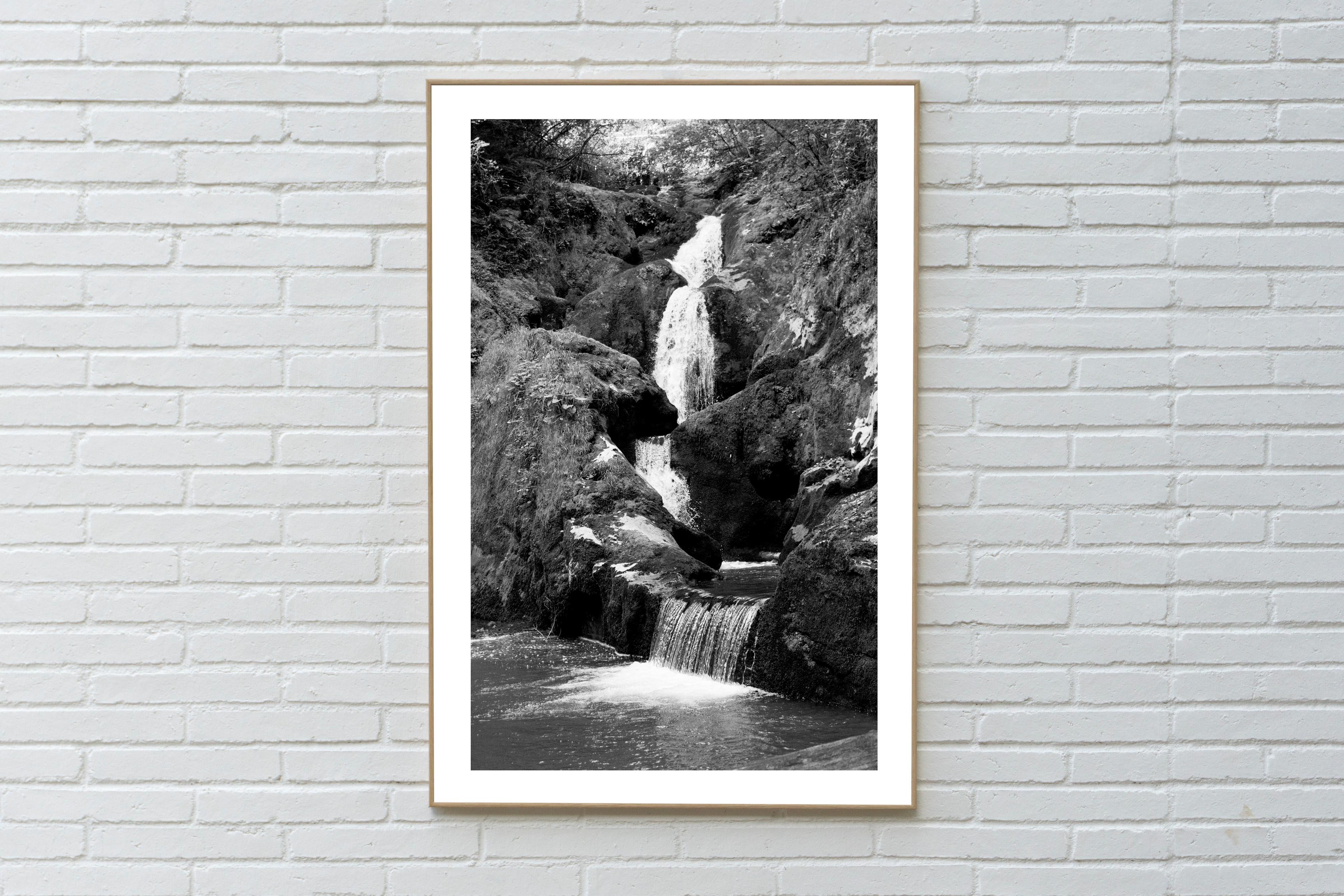 Vertical Black and White Giclée of Zen Forest Waterfall, Landscape, Feng Shui For Sale 1