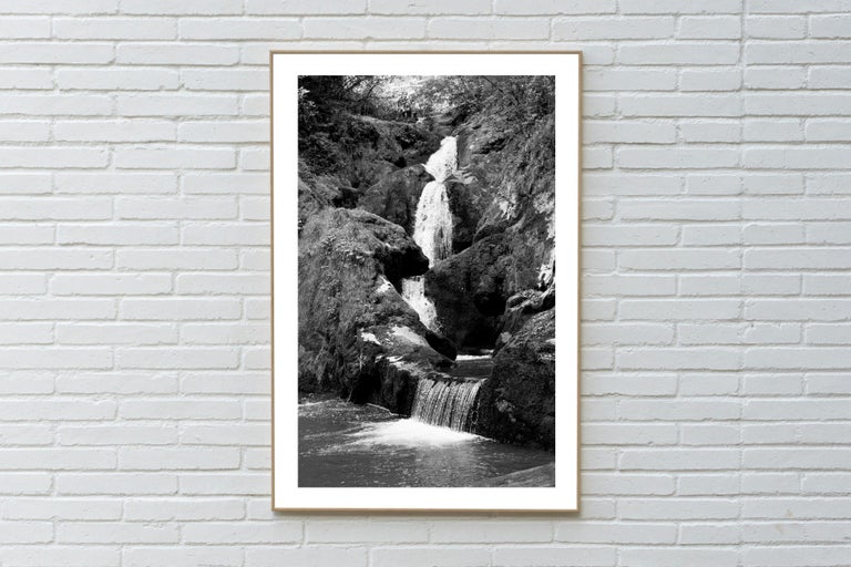 Extra Large Black and White Giclée Print of Zen Forest Waterfall, Landscape  For Sale 4