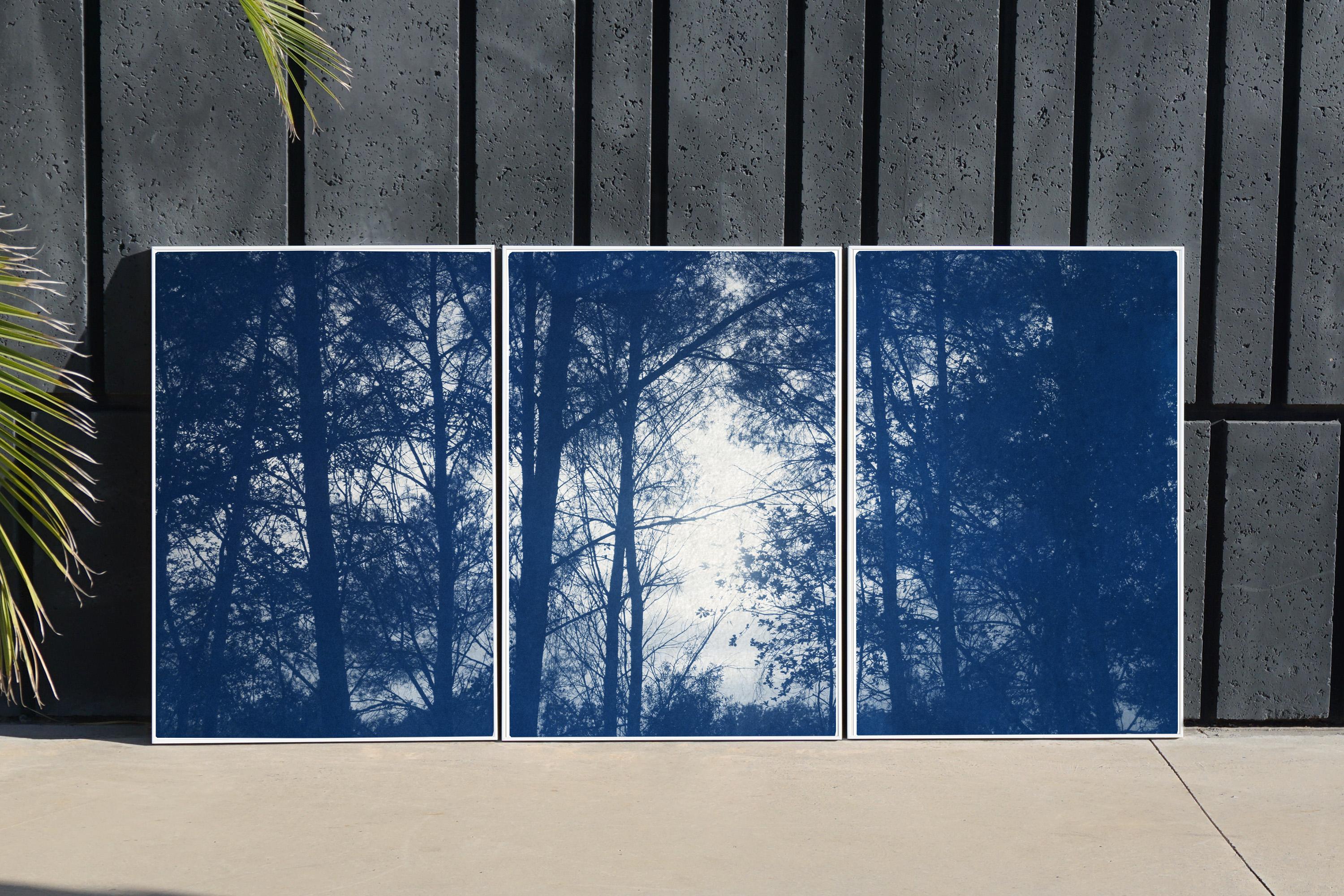 Forest Silhouette Sonnenuntergang, Blau Nature Großes Triptychon, Cyanotype auf Papier, 2025 – Print von Kind of Cyan