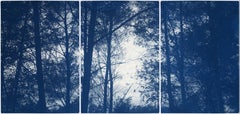Forest Silhouette Sonnenuntergang, Blau Nature Großes Triptychon, Cyanotype auf Papier, 2025