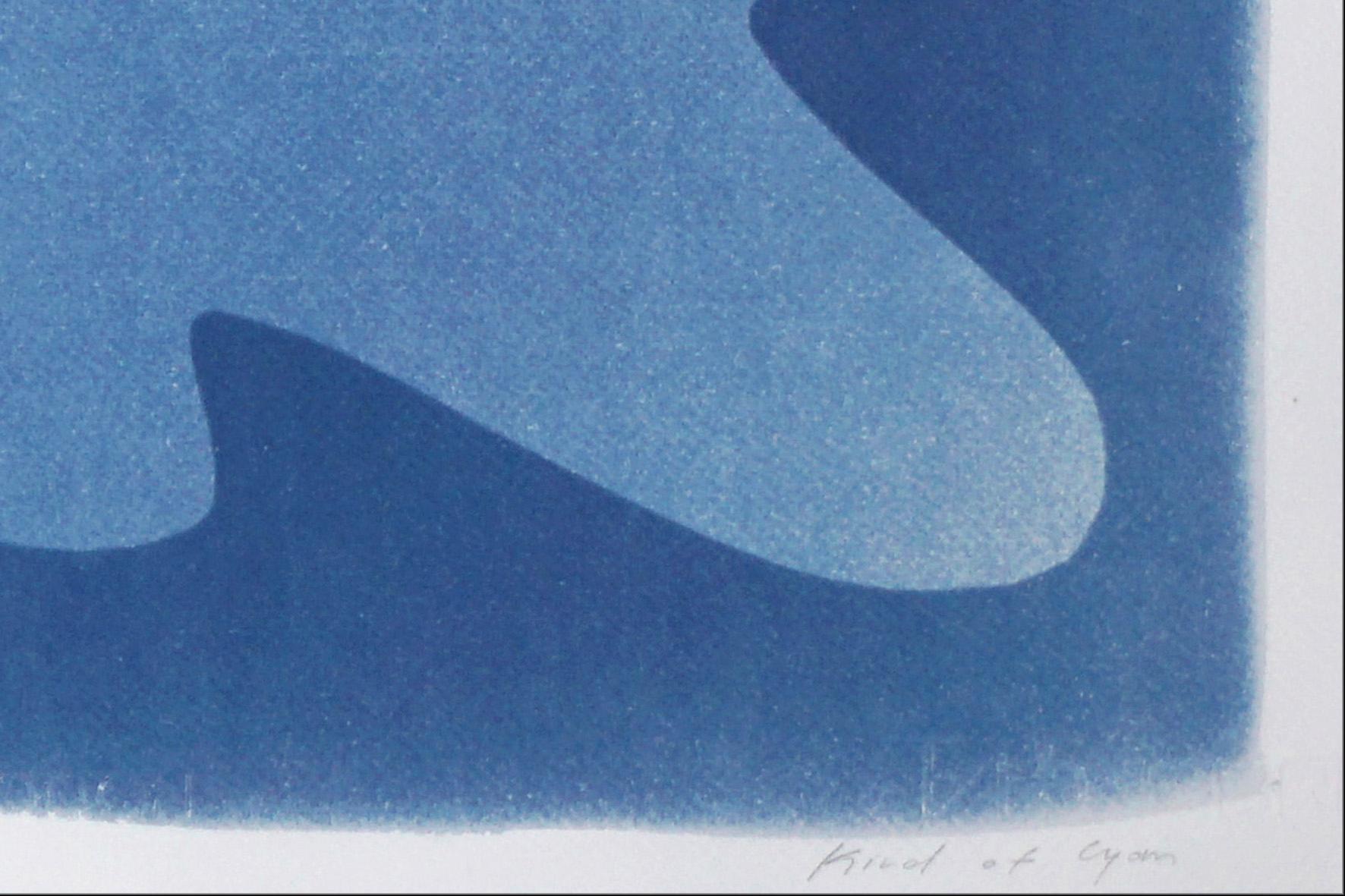 Frozen Puddles, Abstract Waters Diptych, Cutout Monotype in Blue and White, 2022 2