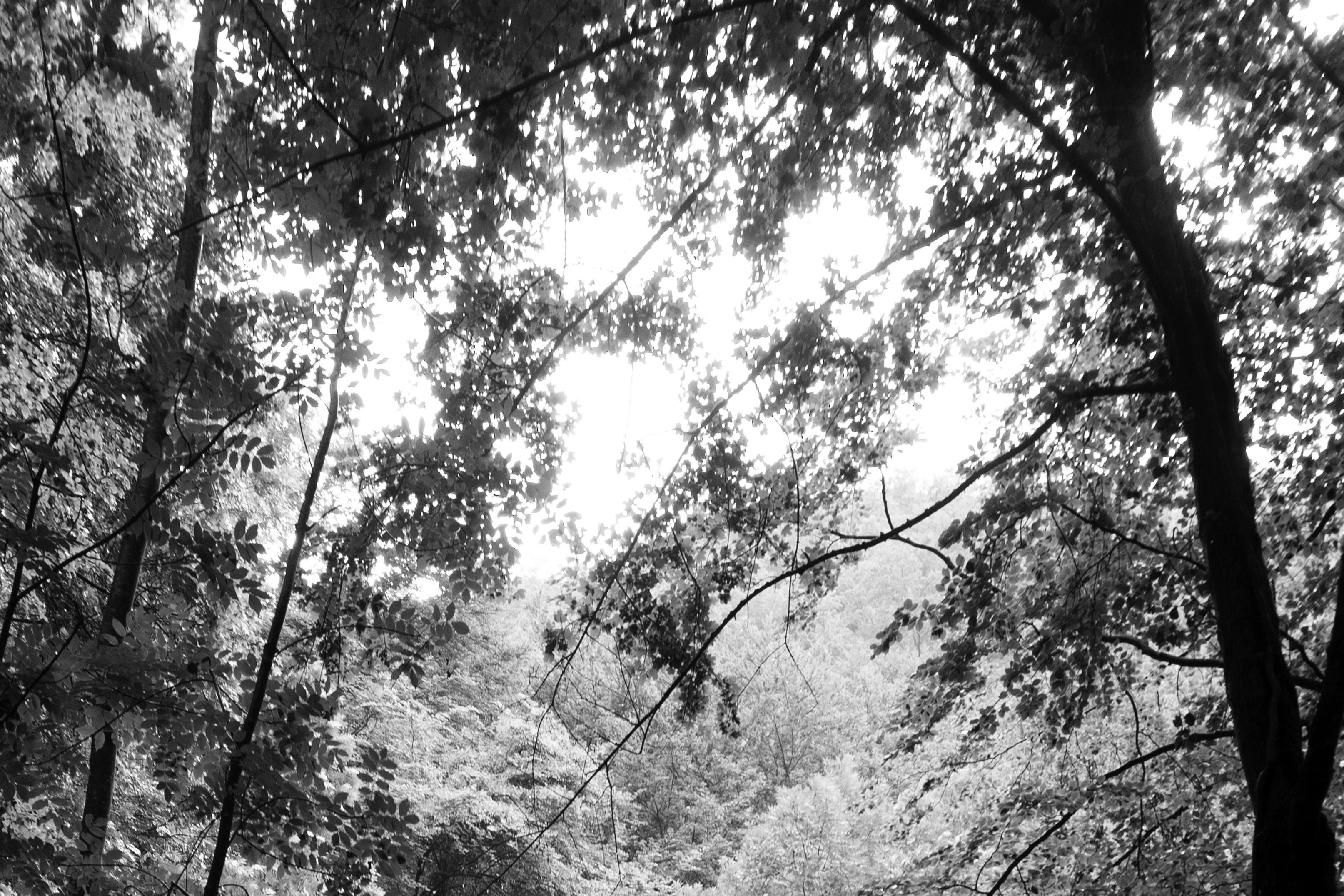Fin d'après-midi Lights Light,  Paysage en noir et blanc Impression Giiclée limitée  - Noir Black and White Photograph par Kind of Cyan