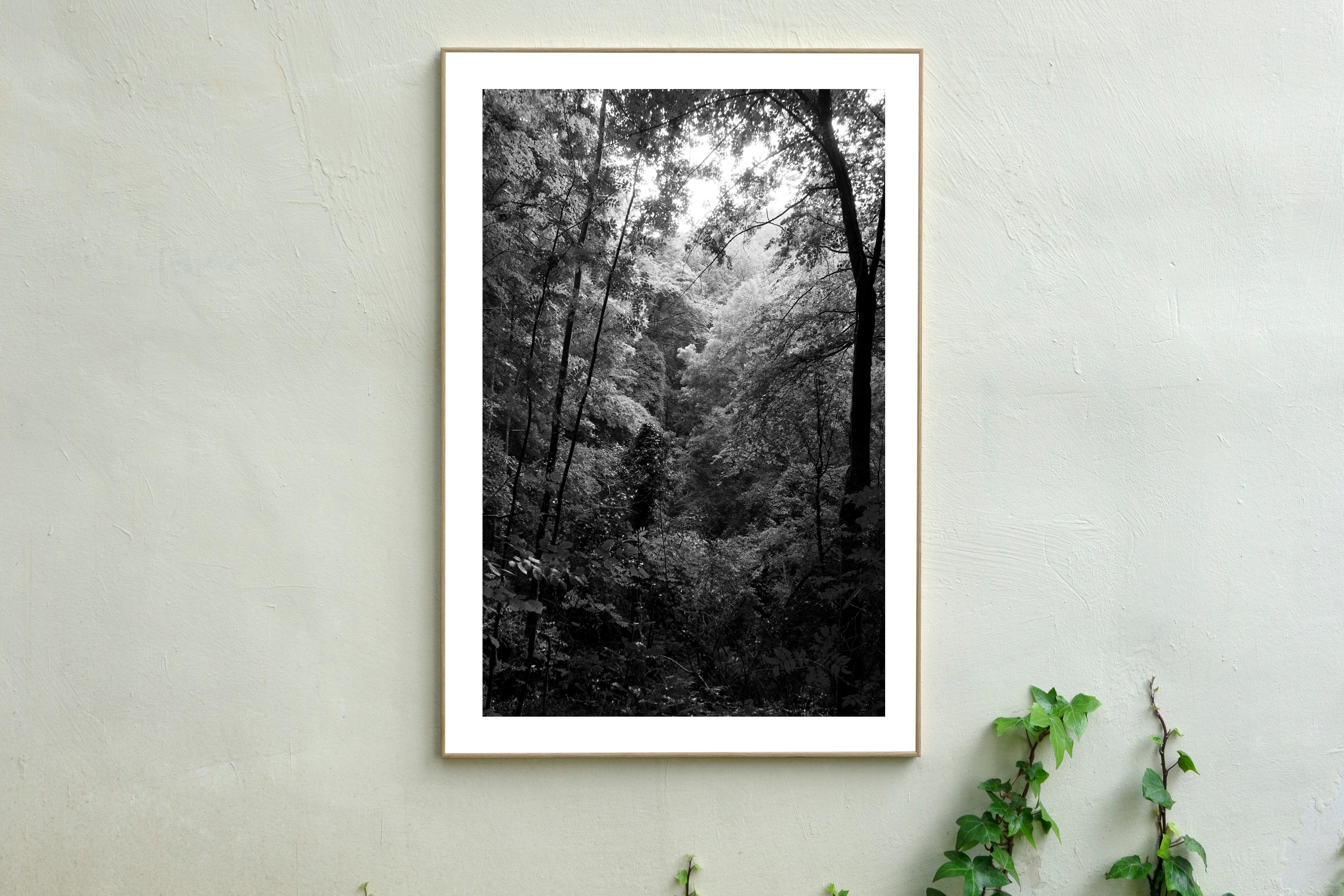 This is an exclusive limited edition black and white Giclée print, on 100% cotton Hahnemühle Photo Rag Fine Art matte paper. 

This beautiful black and white high contrast photograph is titled 