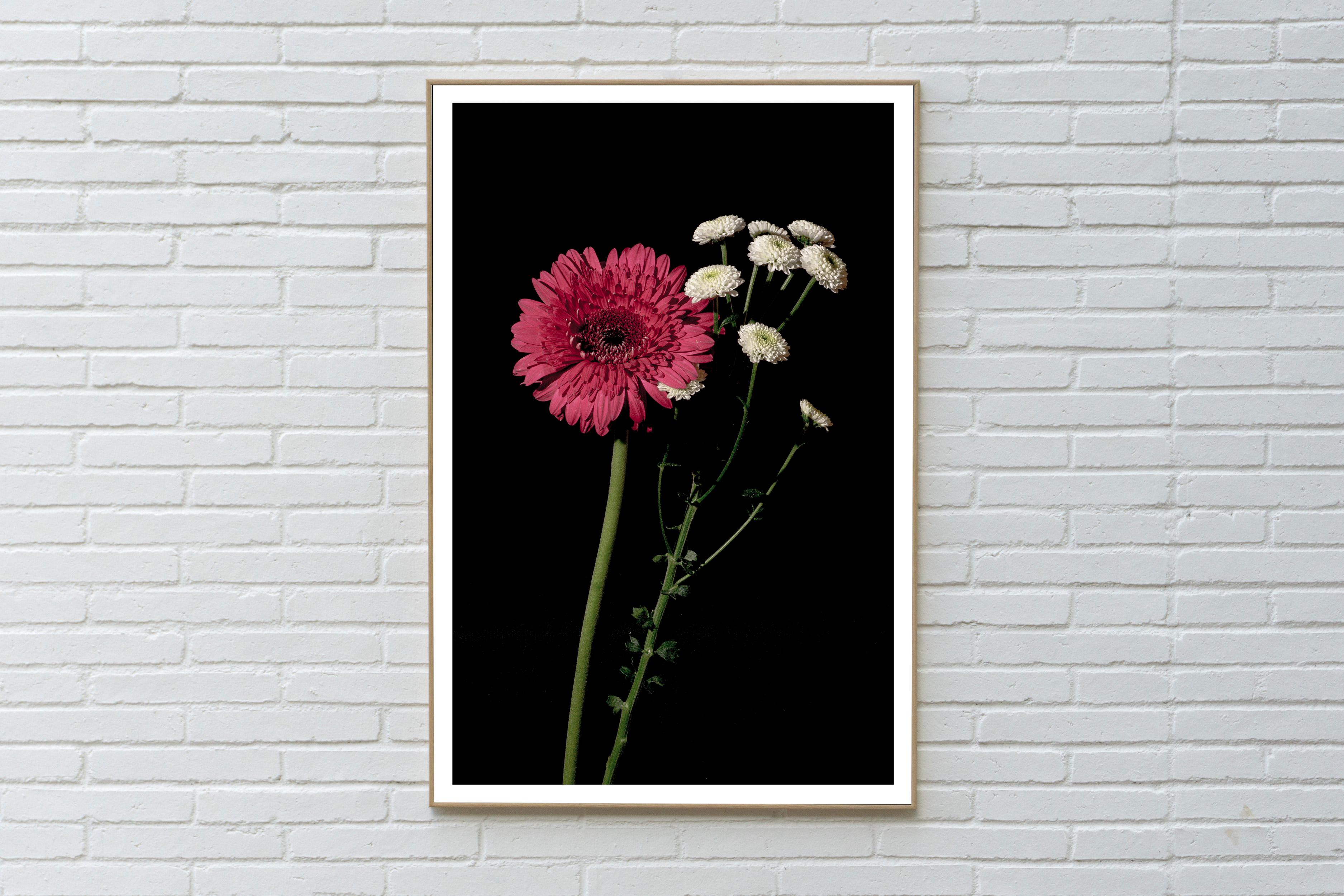 This is an exclusive limited edition color Giclée print, printed on matte photographic paper.

This exquisite still life photo, shows a classy bouquet beautifully lit with soft light.

The print measures 36 x 24 inches total, with an image size of