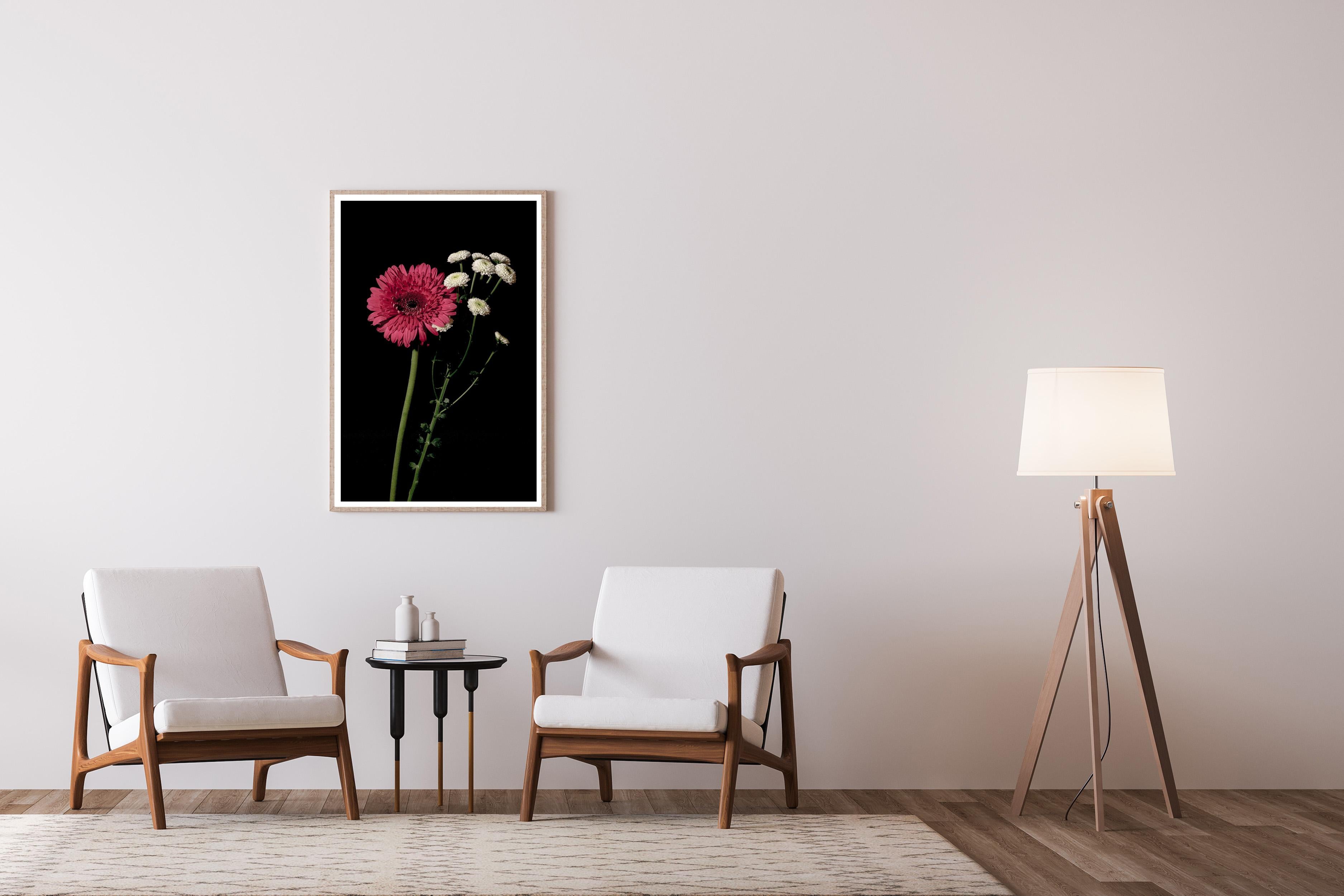 Pink and White Delicate Flowers, Black Background, Bright Elegant Giclée Print For Sale 1