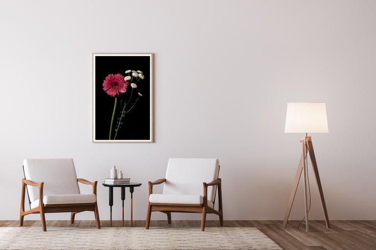 Pink and White Delicate Flowers, Black Background, Bright Elegant Giclée Print - Baroque Photograph by Kind of Cyan