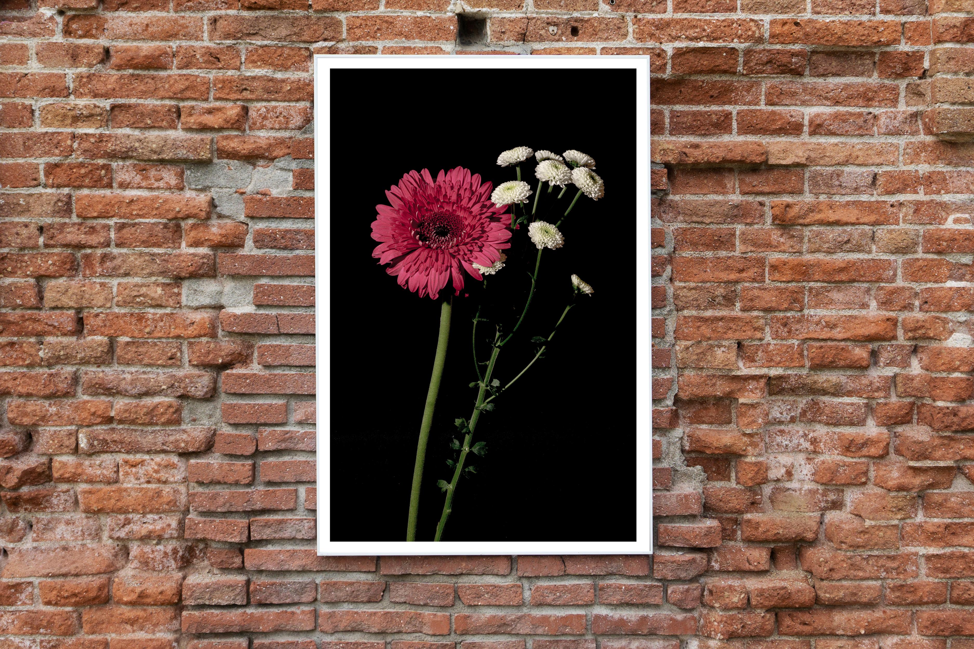 Pink and White Delicate Flowers, Black Background, Bright Elegant Giclée Print For Sale 4