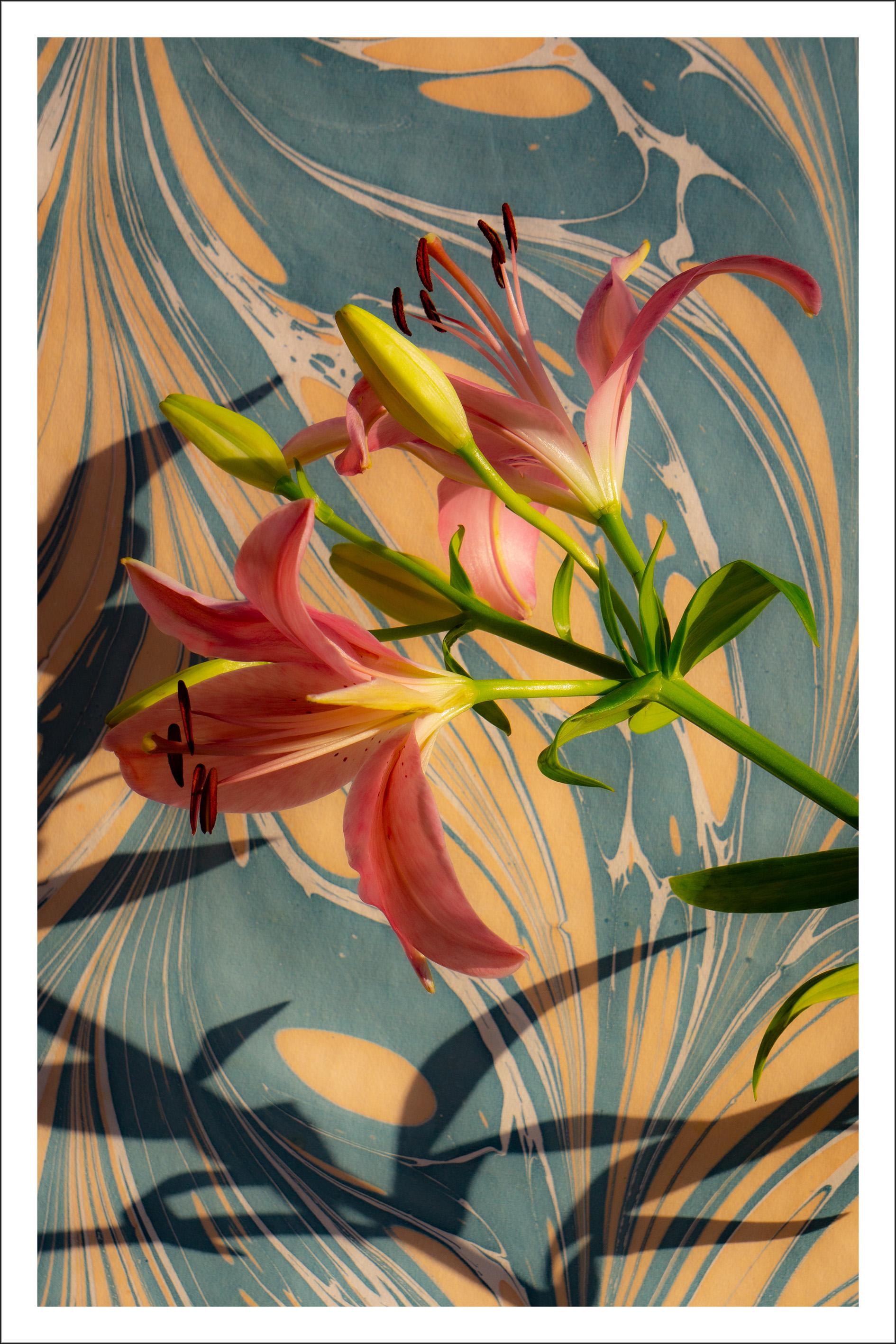 Lirios rosas sobre remolinos de mármol, impresión giclée de un bodegón contemporáneo, luz suave