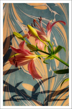Pink Lilies on Marble Swirls, Contemporary Still Life Giclée Print, Soft Light