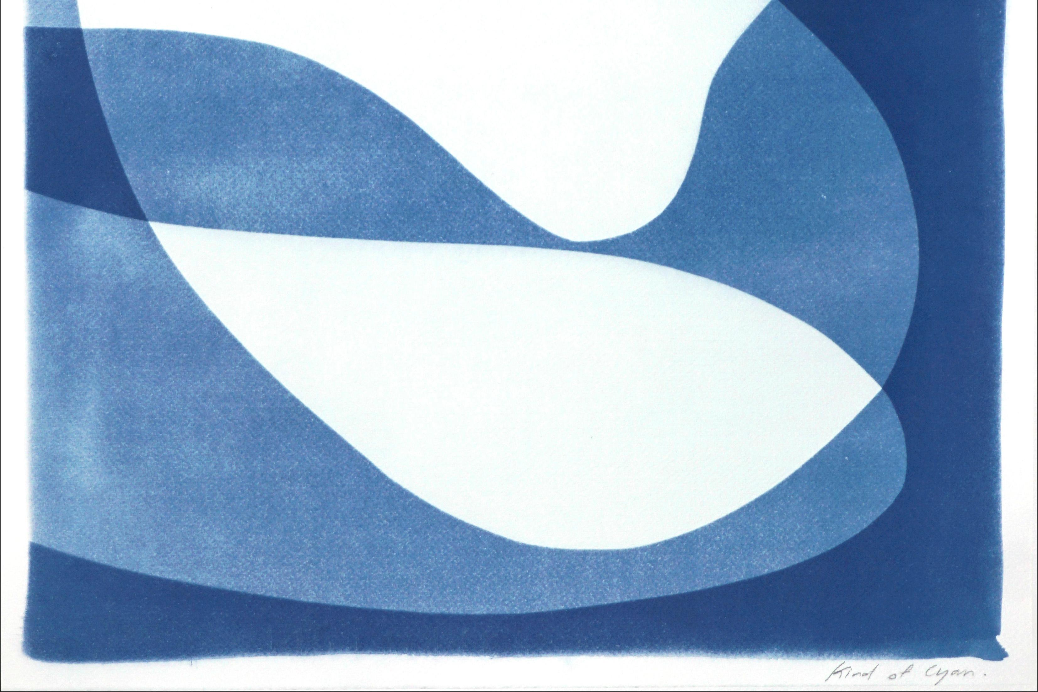 Layered Kidney Beans, Unique Monotype Cyanotype, Blue Abstract Shapes Diptych  1