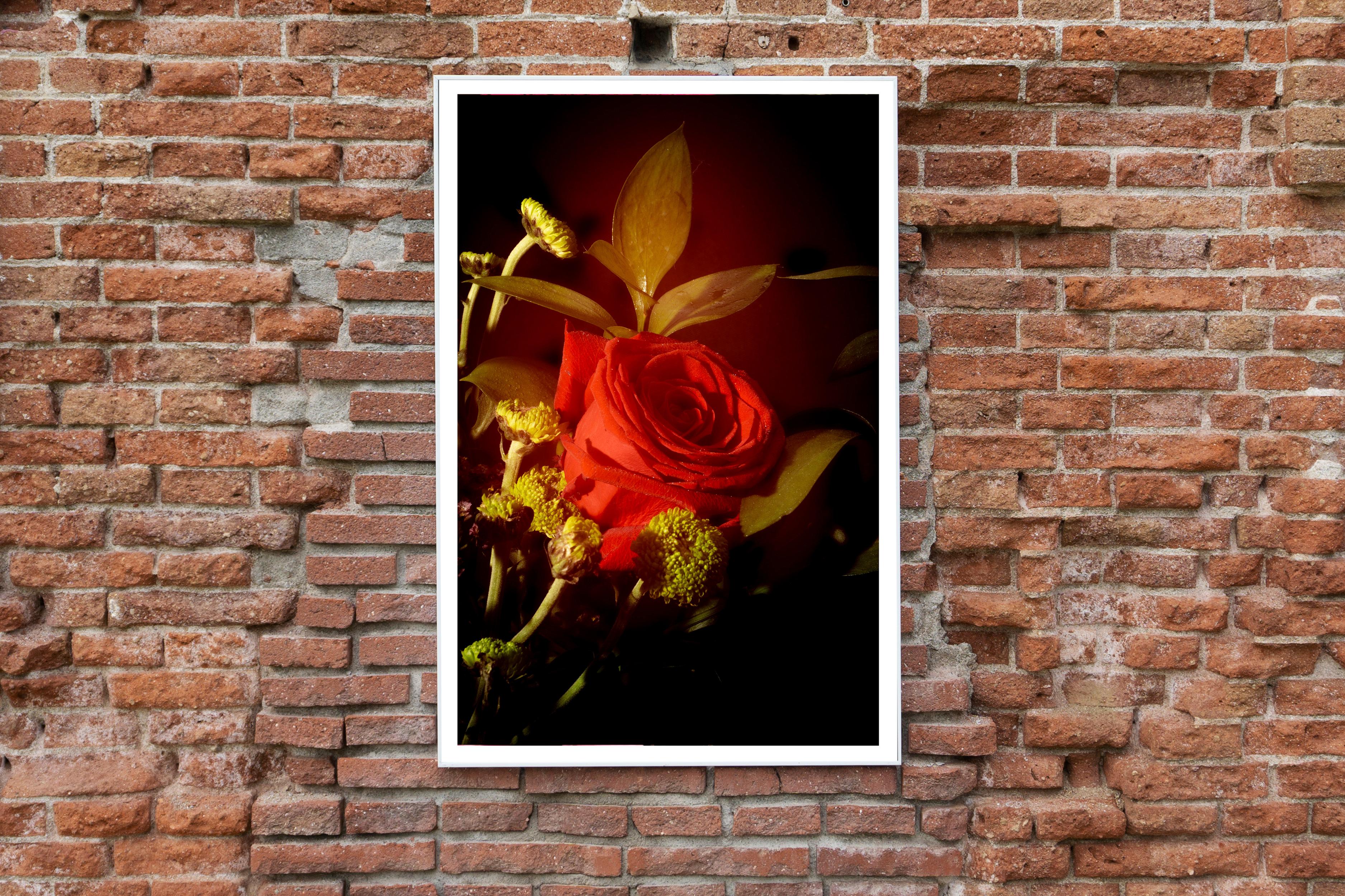 Red Rose in Vintage Light, Limited Edition Giclée Print, Vertical Still Life  For Sale 3