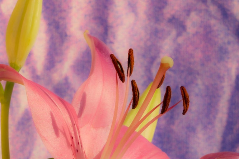 Kind of Cyan Sunflower Lily, Style, Vivid Tones Bouquet