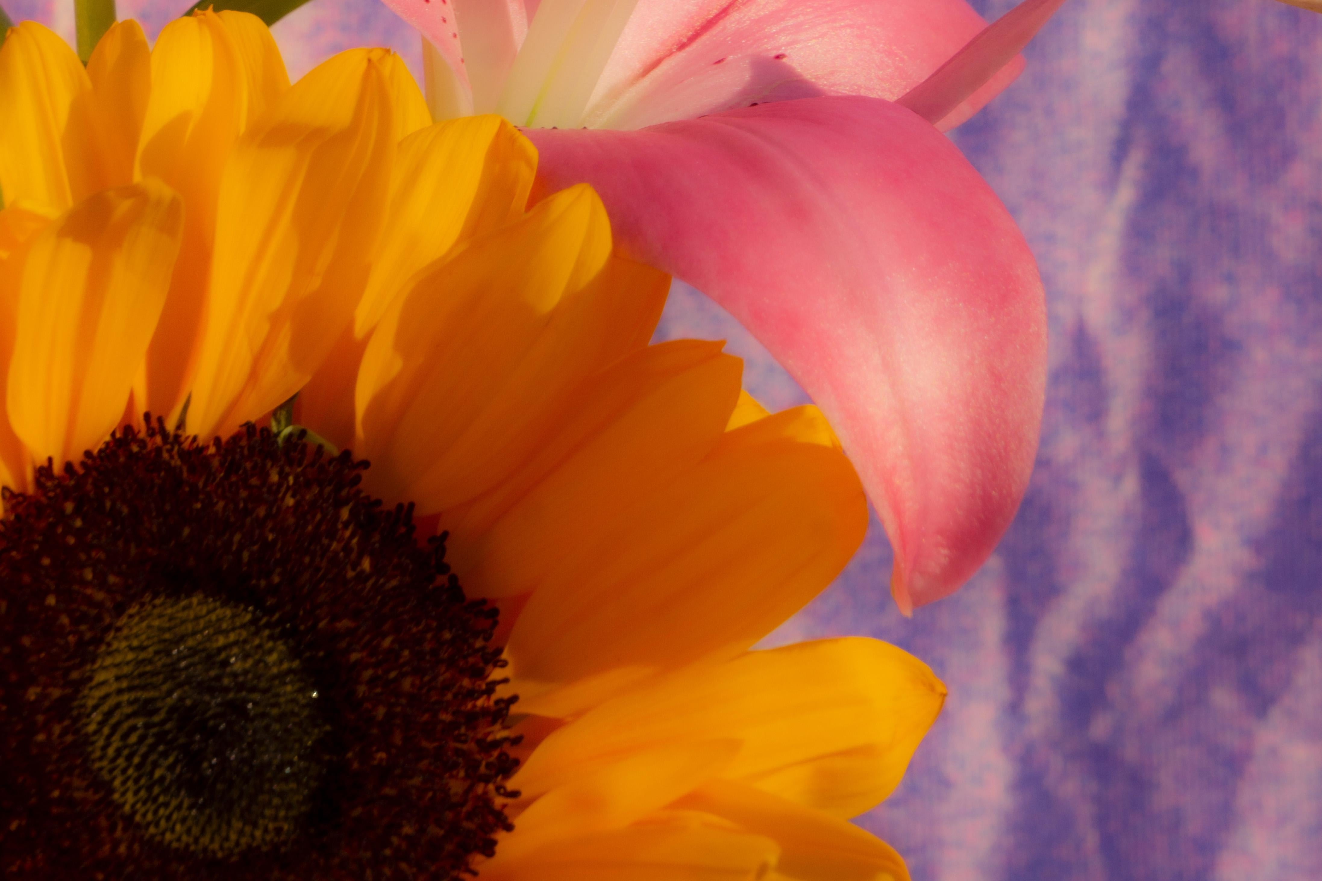 Dies ist ein exklusiver Giclée-Farbdruck in limitierter Auflage, gedruckt auf mattem Fotopapier.

Dieses exquisite Stillleben zeigt einen lebendigen Blumenstrauß mit einem abstrakten Hintergrund im Stil der Neunzigerjahre.

Der Druck misst insgesamt