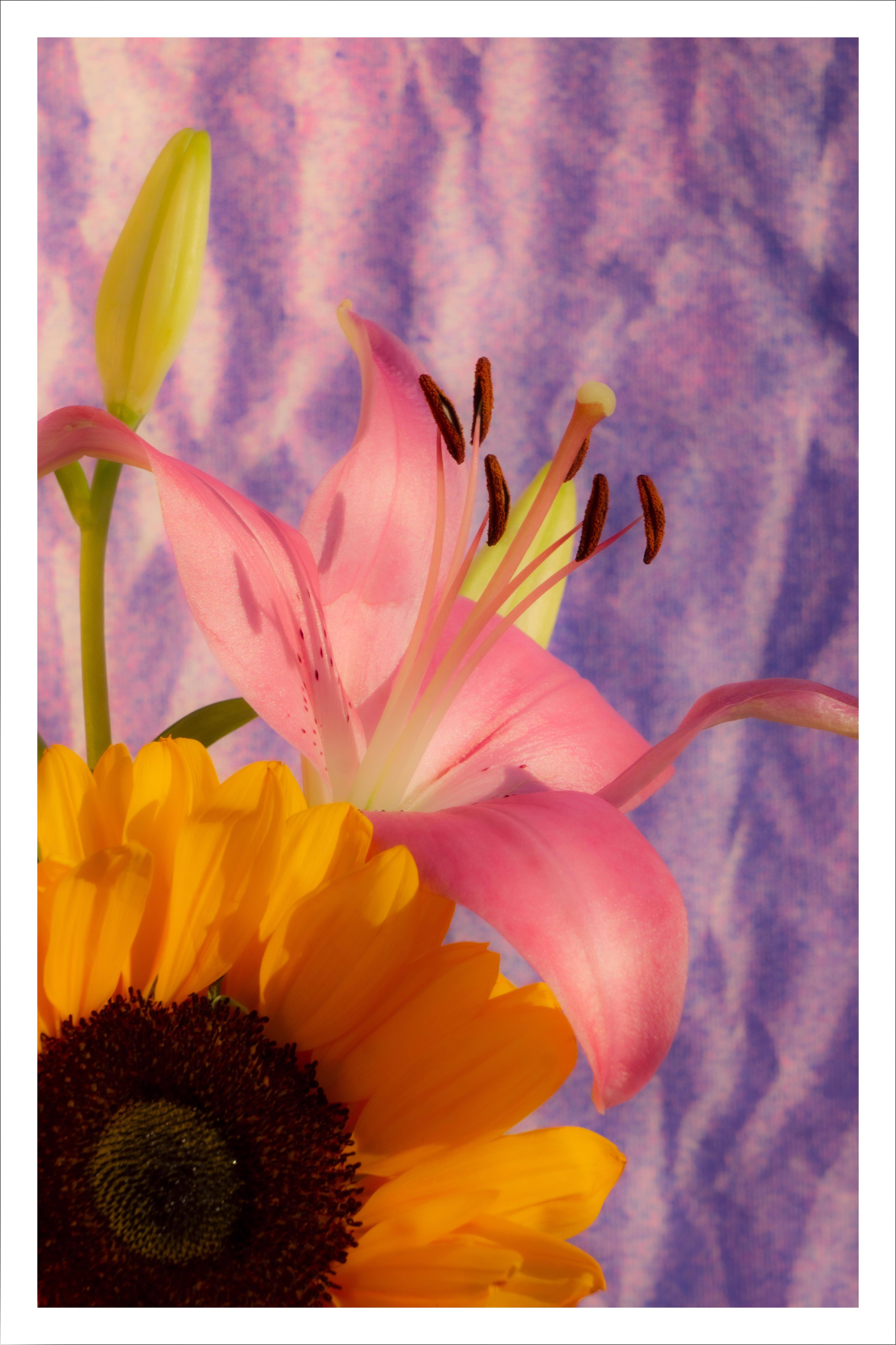 Sunflower Lily, Nineties Style, Vivid Tones Bouquet, Limited Edition Giclée 