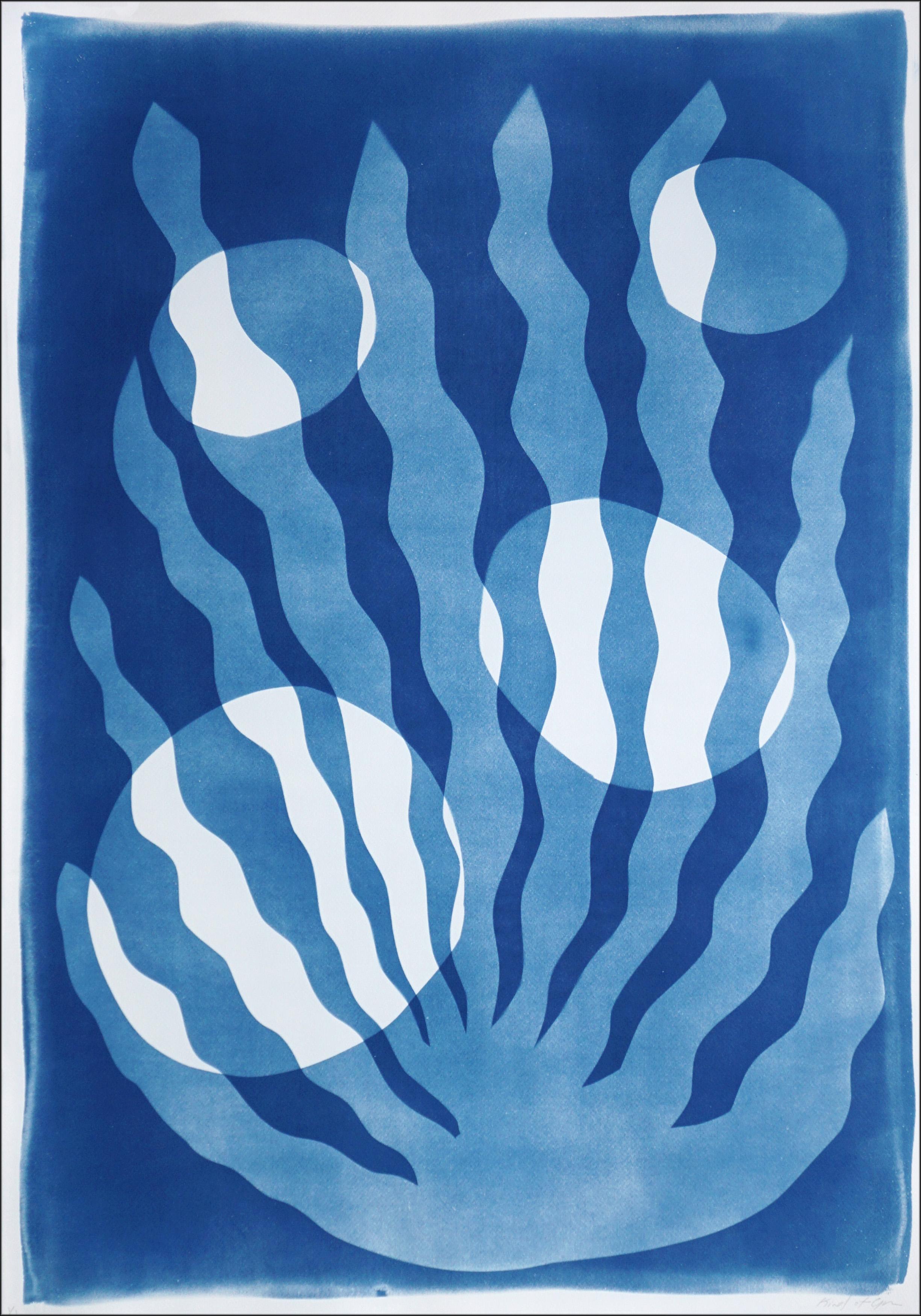 Algae with Bubbles, Blue, White Unique Cyanotype, Desert Modernism Forms, Paper