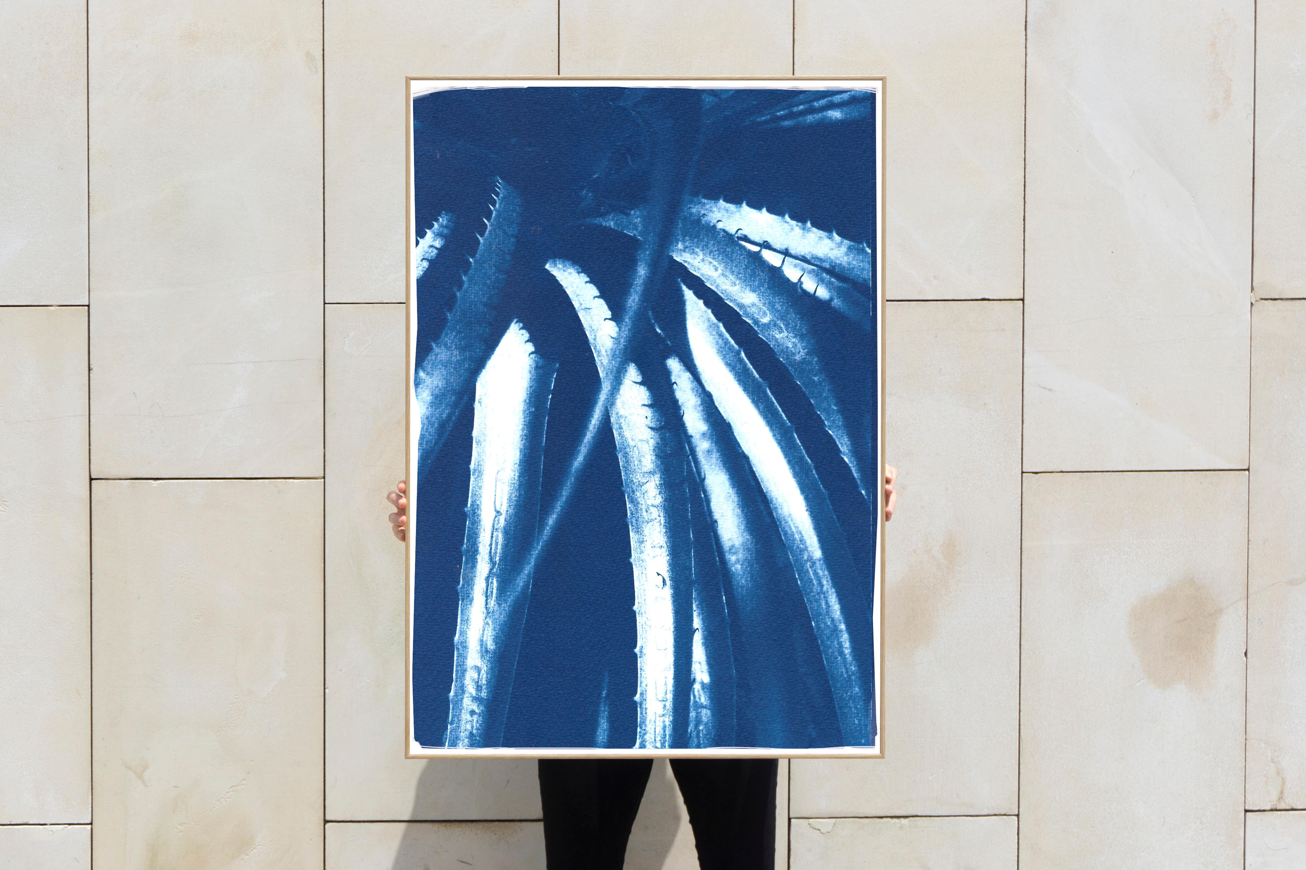 This is an exclusive handprinted limited edition cyanotype of a beautiful Aloe plant.

Details:
+ Title: Jurassic Aloe Leaves
+ Year: 2021
+ Edition Size: 100
+ Stamped and Certificate of Authenticity provided
+ Measurements : 70x100 cm (28x 40