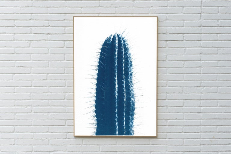 Blue Upright Desert Cactus, Extra Large Cyanotype Print in Blue Tones, Botanic - Naturalistic Art by Kind of Cyan