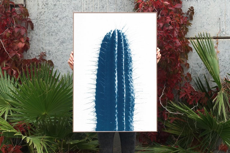 This is an exclusive handprinted limited edition cyanotype of a beautiful 