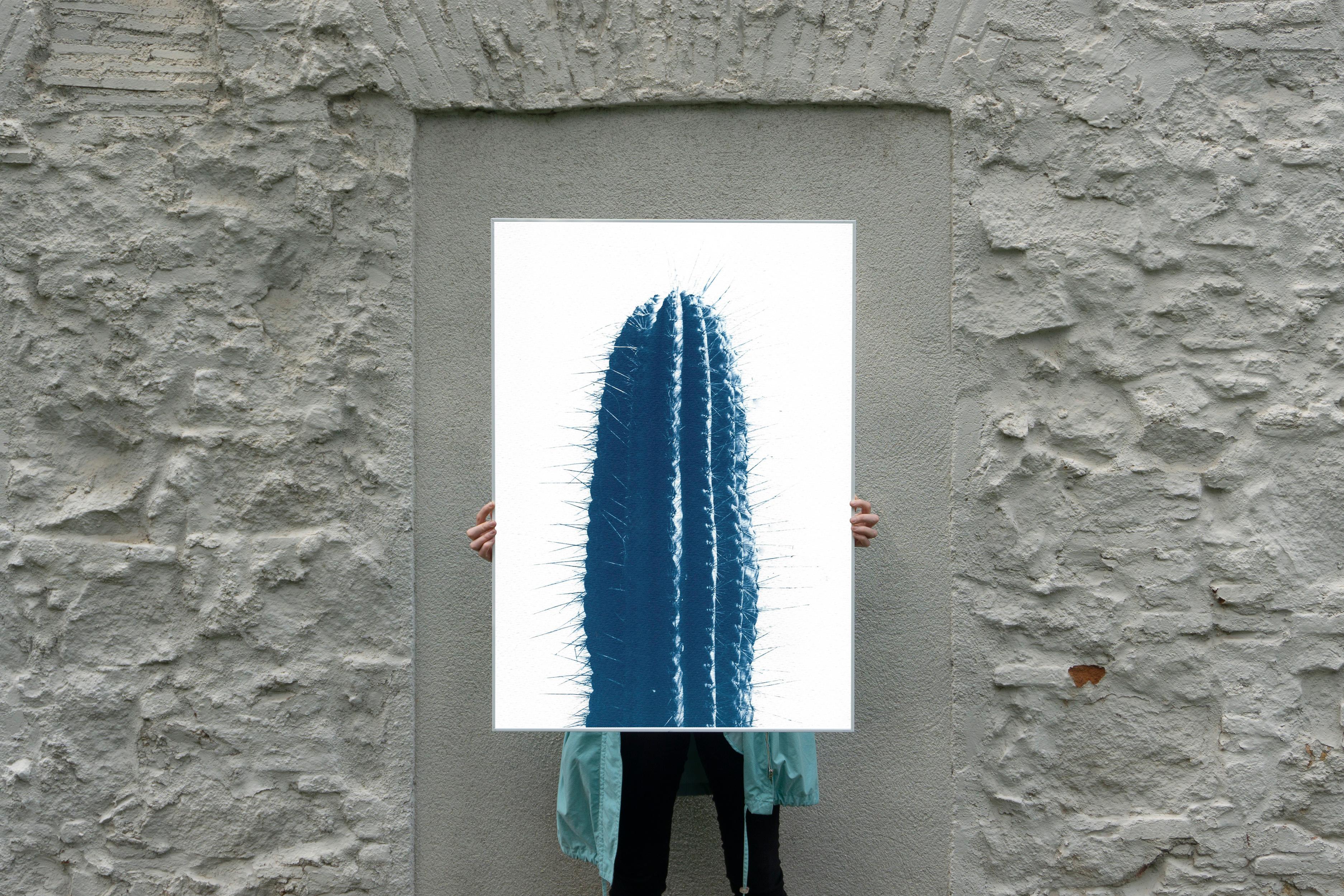Blue Upright Desert Cactus, Extra Large Cyanotype Print in Blue Tones, Botanic - Naturalistic Art by Kind of Cyan