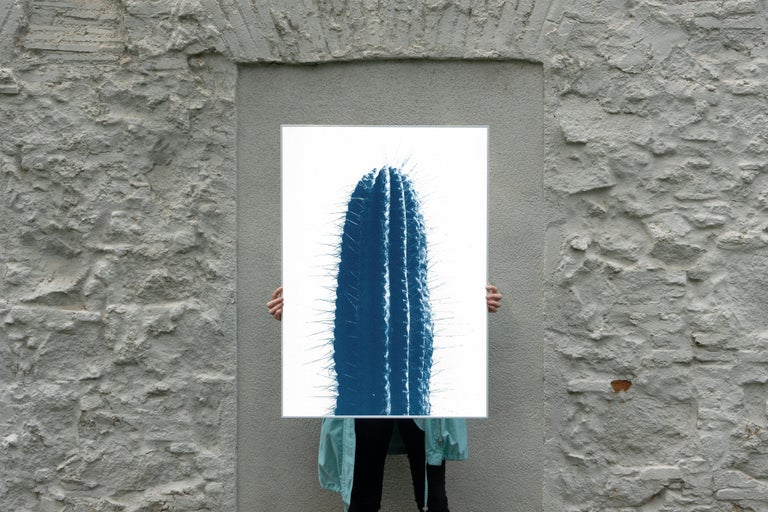 Blue Upright Desert Cactus, Extra Large Cyanotype Print in Blue Tones, Botanic For Sale 1