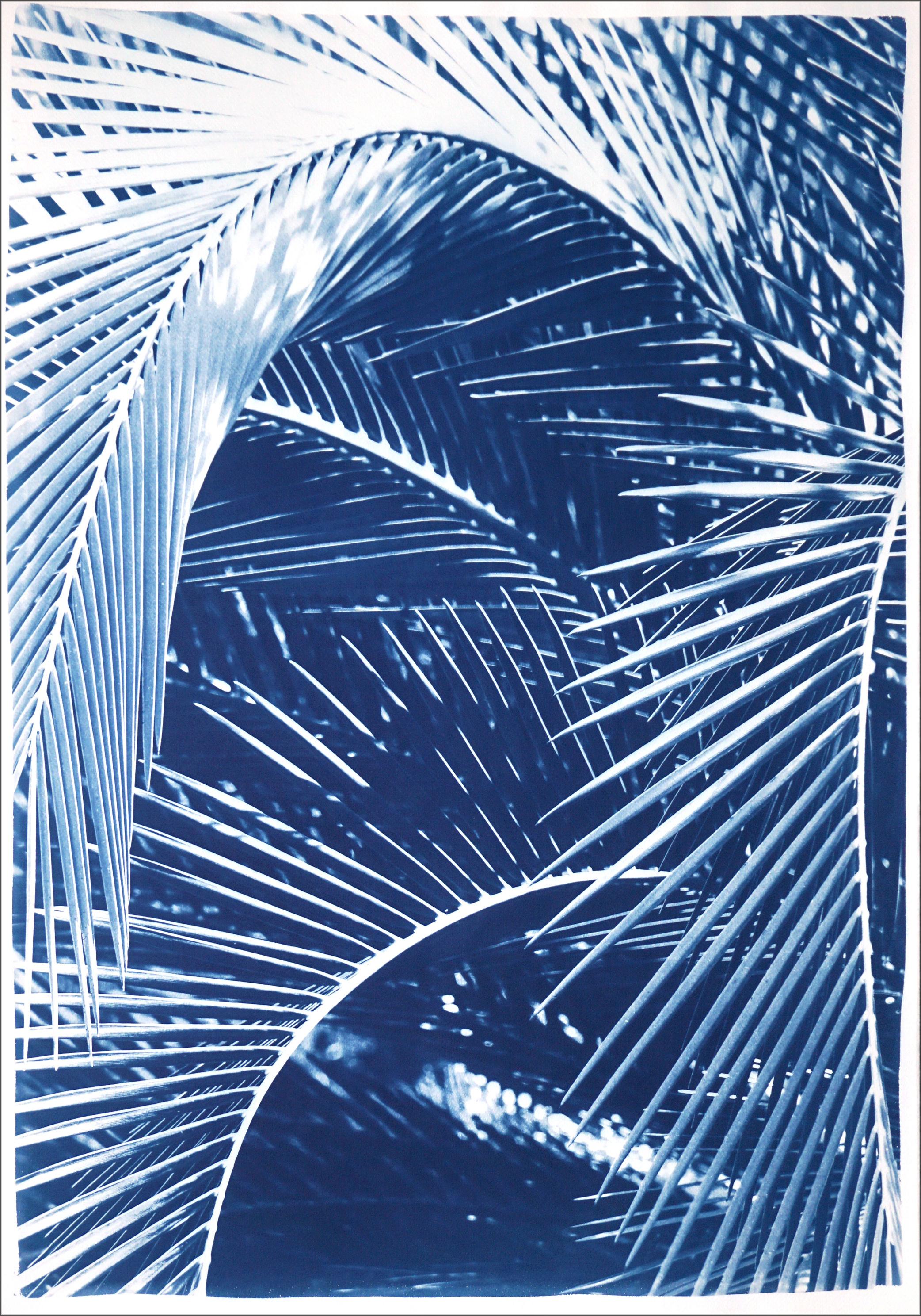 Still-Life Photograph Kind of Cyan - Feuilles de palmier de jardin botaniques, impression de natures mortes tropicales faites à la main dans les tons bleus