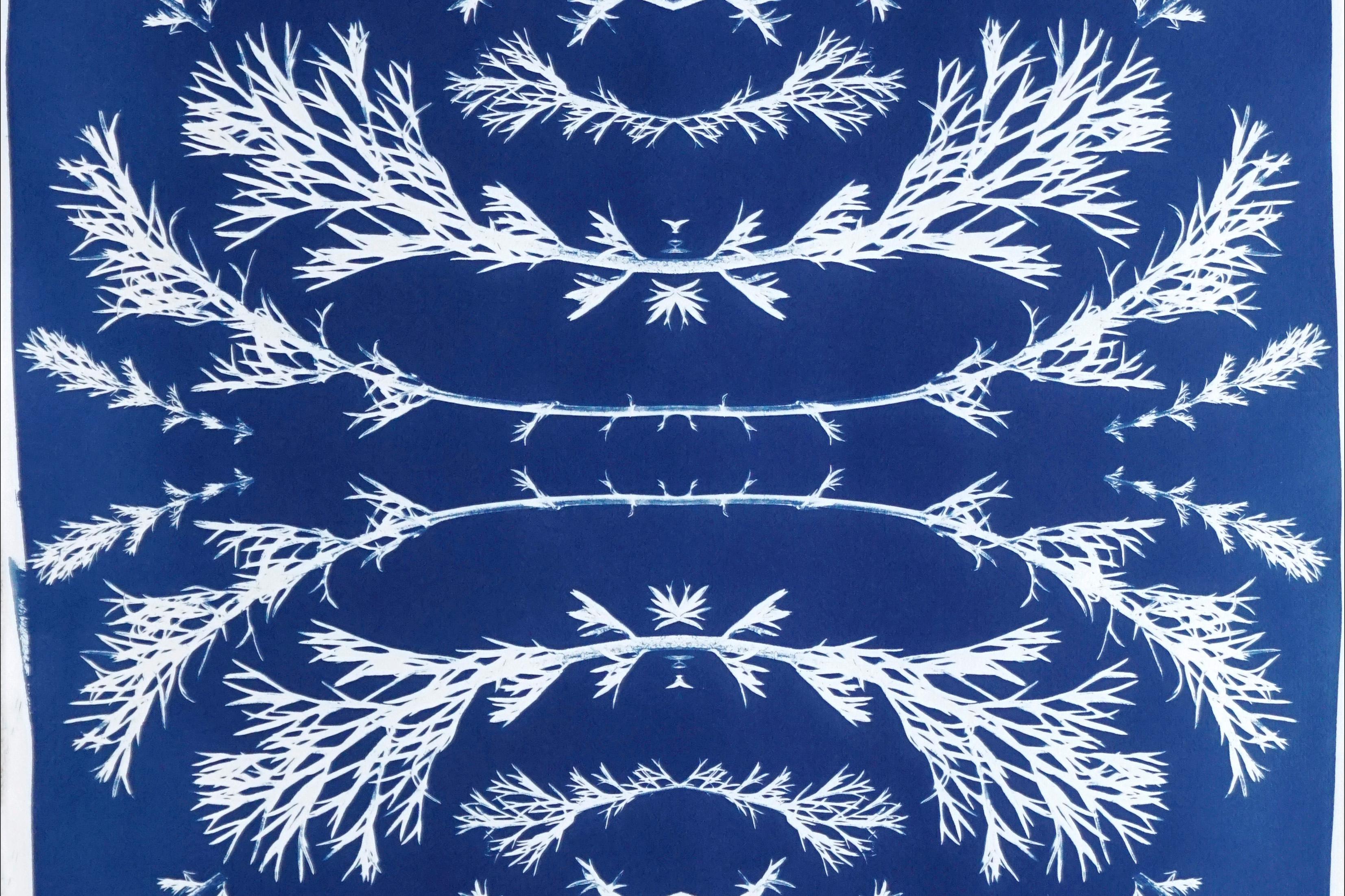 Zyanotypie der botanischen Komposition aus gepressten Vintage-Blumen in Weiß und Blau   (Barock), Photograph, von Kind of Cyan