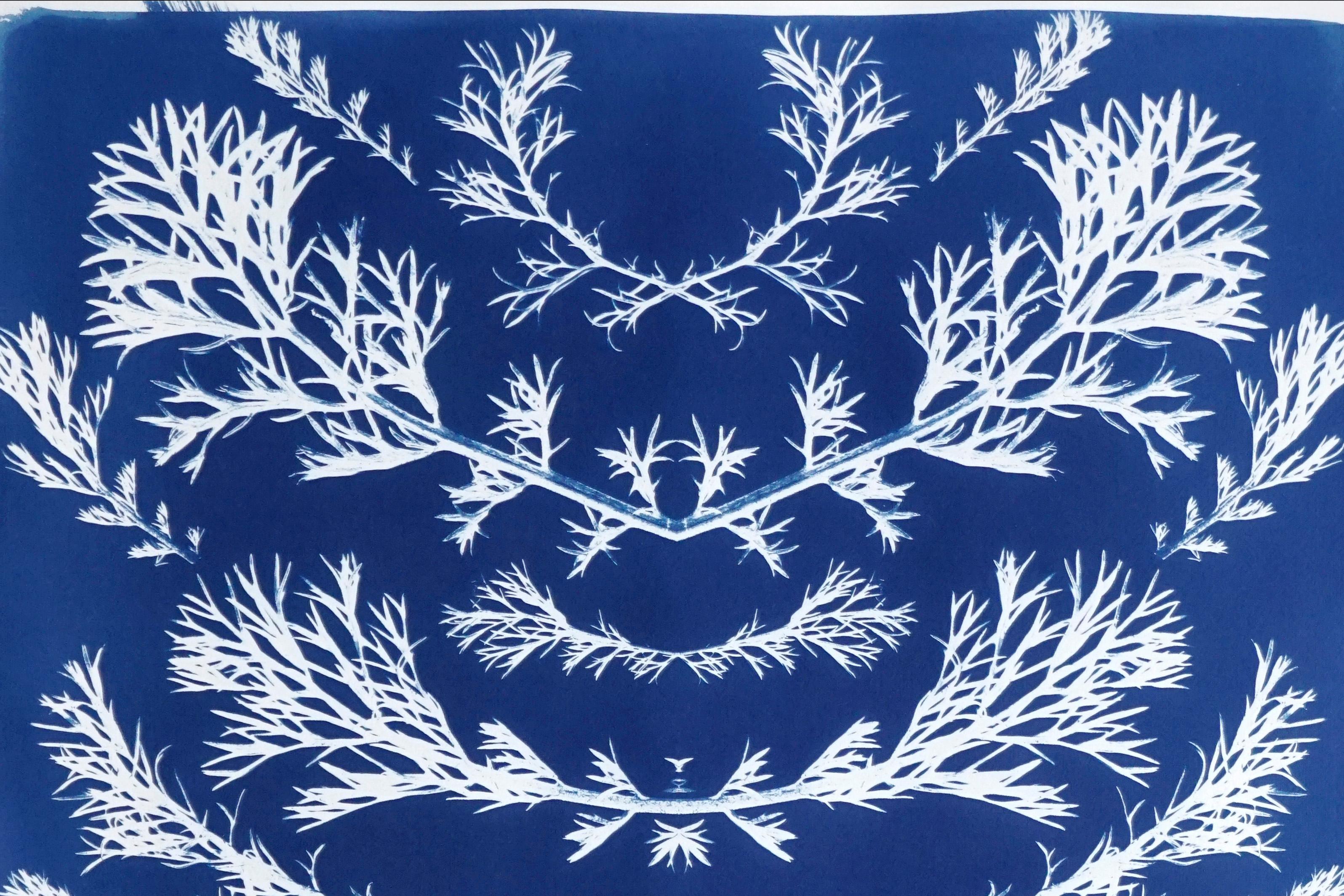 Zyanotypie der botanischen Komposition aus gepressten Vintage-Blumen in Weiß und Blau   im Angebot 1