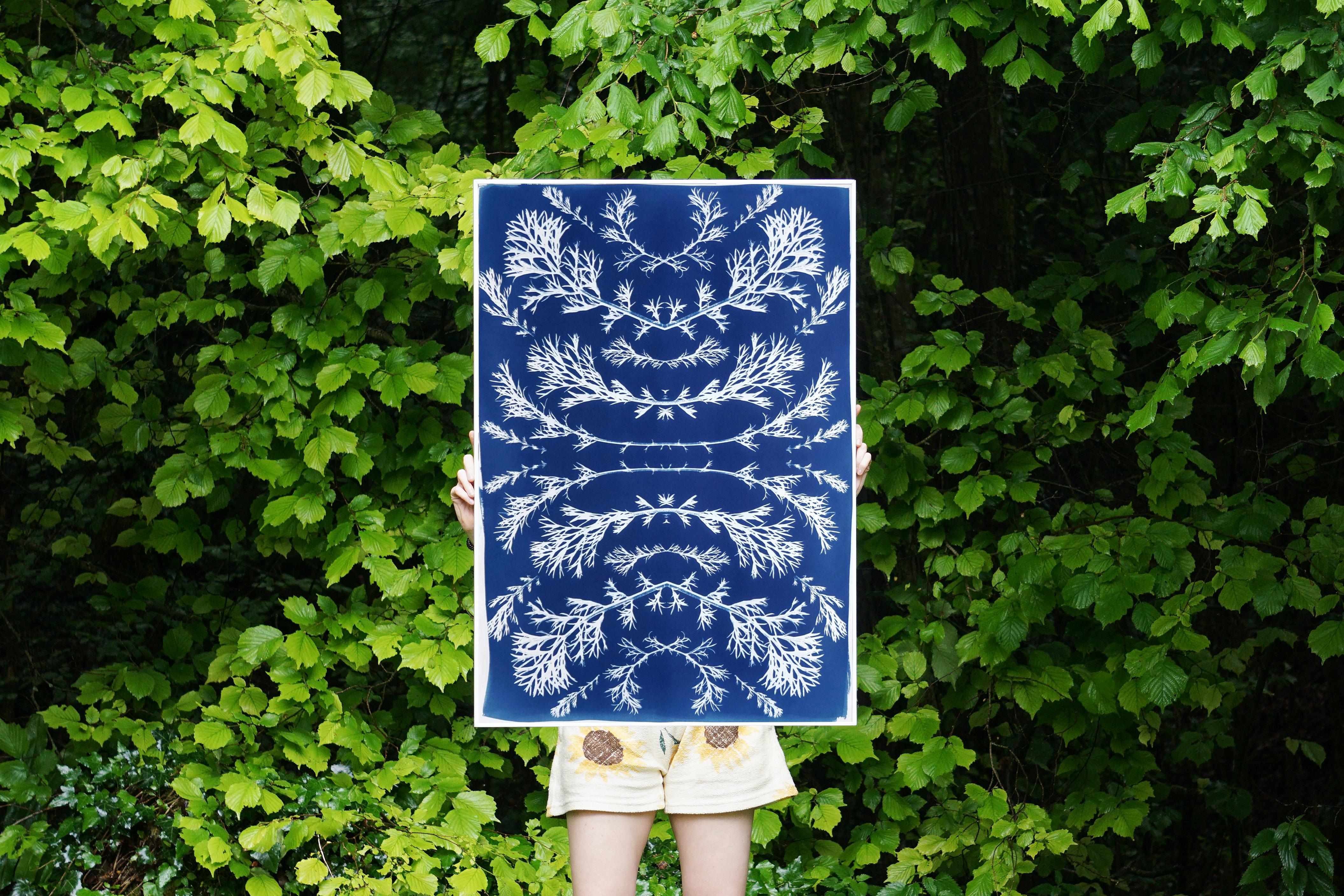 This is an exclusive handprinted limited edition cyanotype.

Details:
+ Title: Vintage Pressed Flowers Nº2
+ Year: 2022
+ Edition Size: 20
+ Stamped and Certificate of Authenticity provided
+ Measurements : 70x100 cm (28x 40 in.), a standard frame