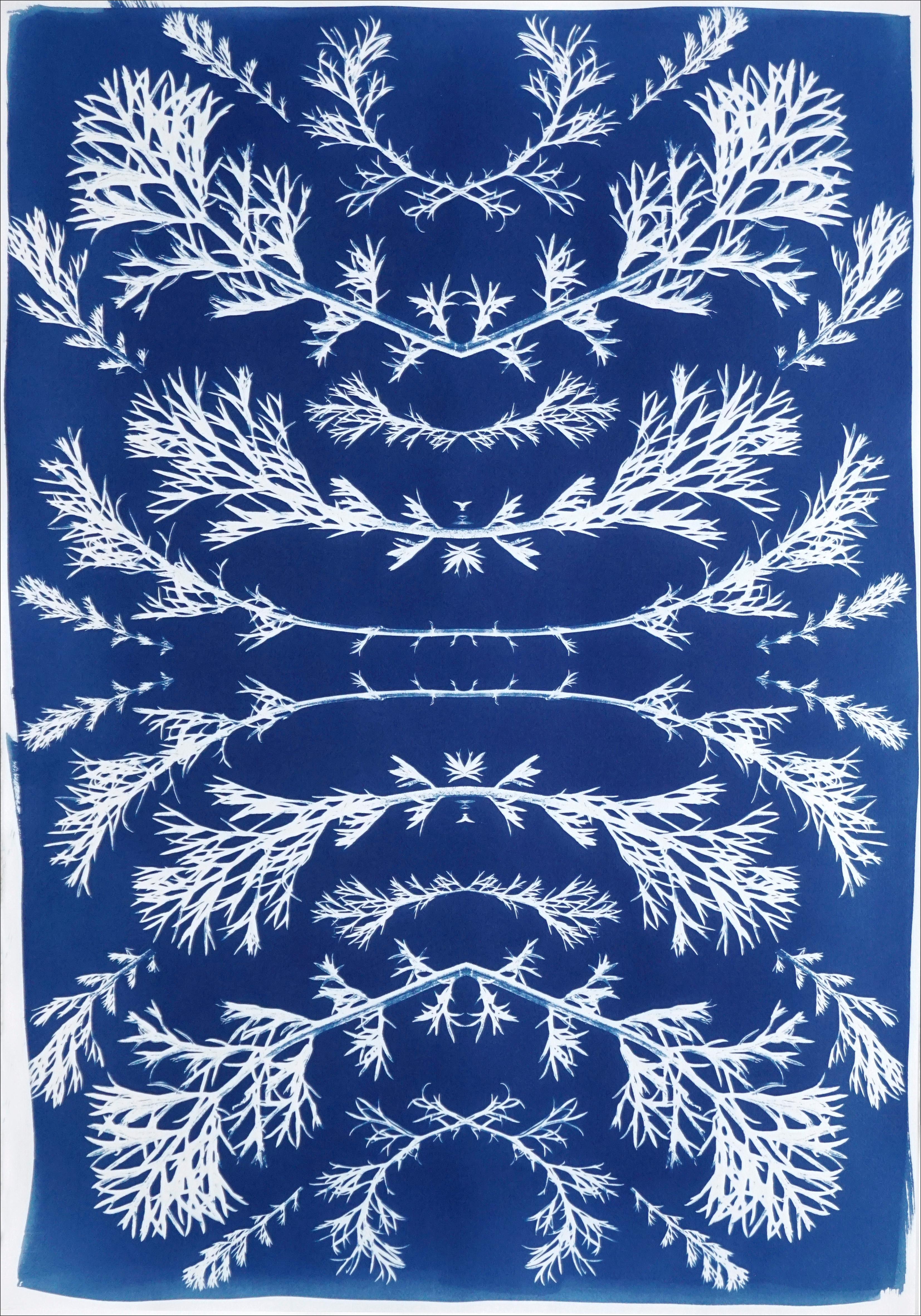Zyanotypie der botanischen Komposition aus gepressten Vintage-Blumen in Weiß und Blau  