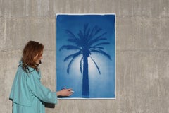 Cairo Citadel Palm, Cyanotype on Paper, Desert Botanical Tree in Blue Tones